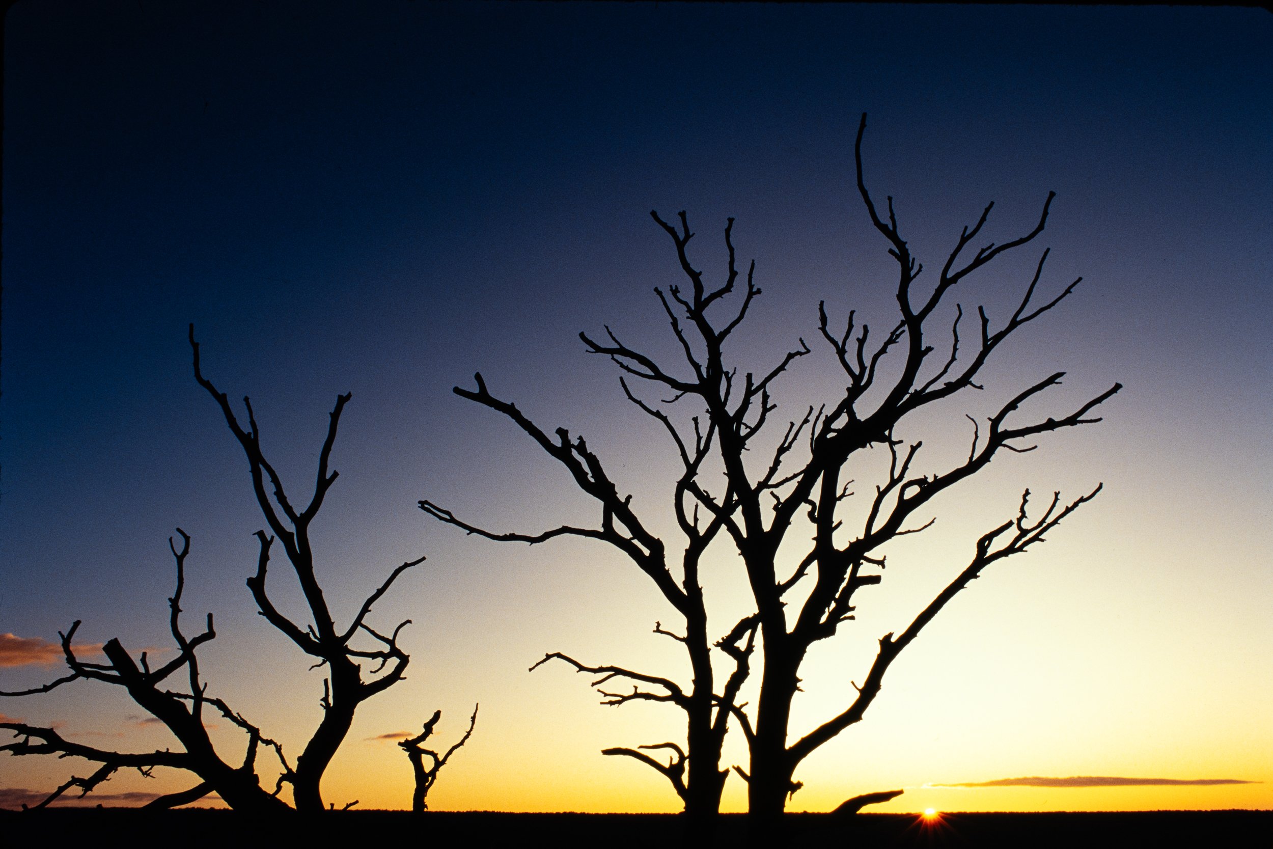 Sunrise North Rim Grand Canyon