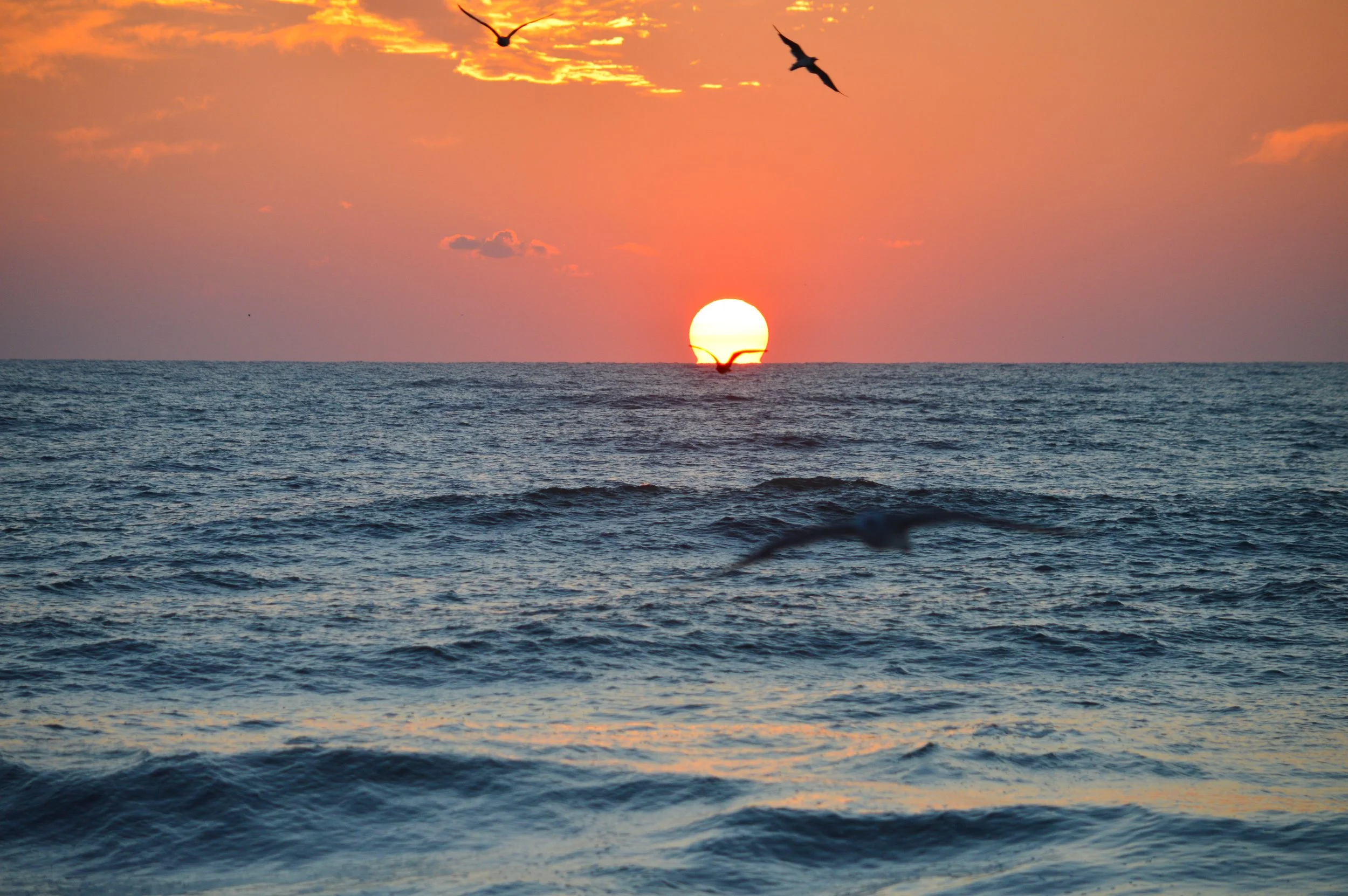 Sunset over the ocean with birds flying in the sky and waves on the water.