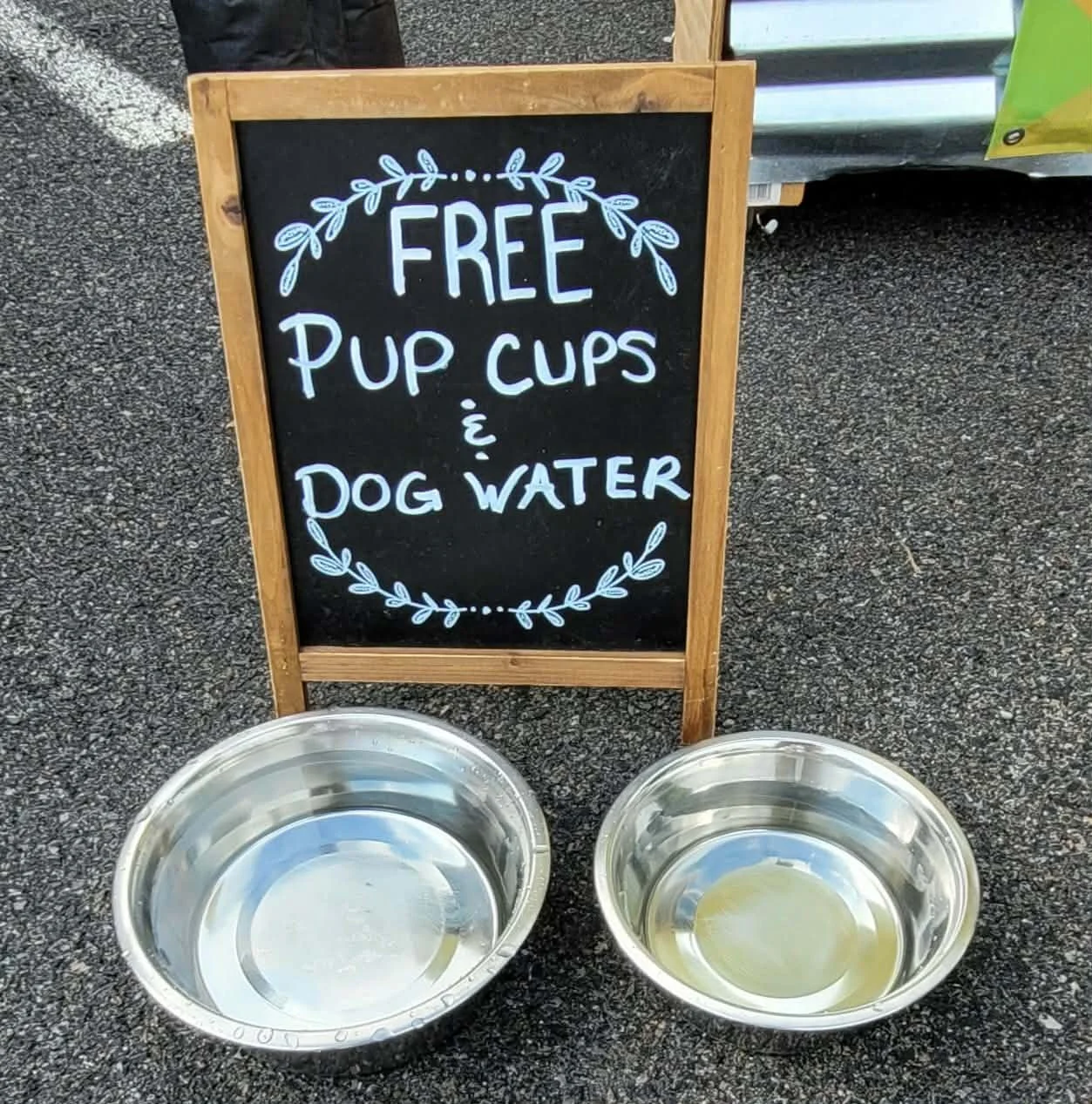 Free Water and Pup Cups for Dogs