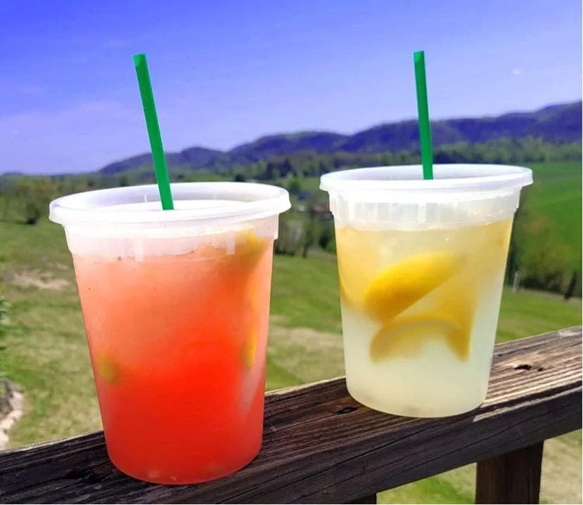 Two plastic cups with green straws, one with pinkish fruit drink and the other with lemon slices in clear liquid, on a wooden railing with a mountain and green landscape in the background.
