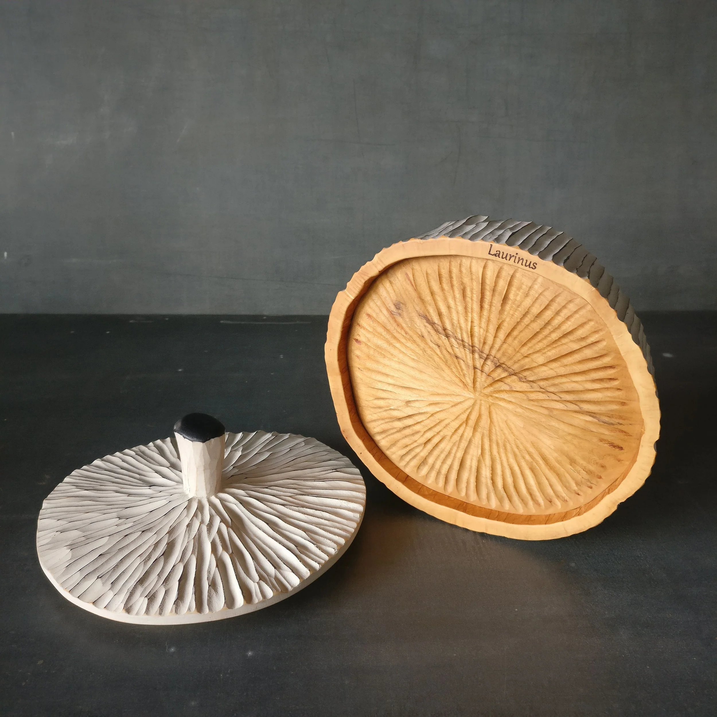 Eine flache ,geschnitzte, weiß bemalte Holzdose oder Urne mit kanelierter Struktur. Mit einem Knauf auf dem Deckel. Verwendbar als Schmuckschachtel oder Keksdose.
Hier sieht man den schön strukturiert gestalteten Boden.