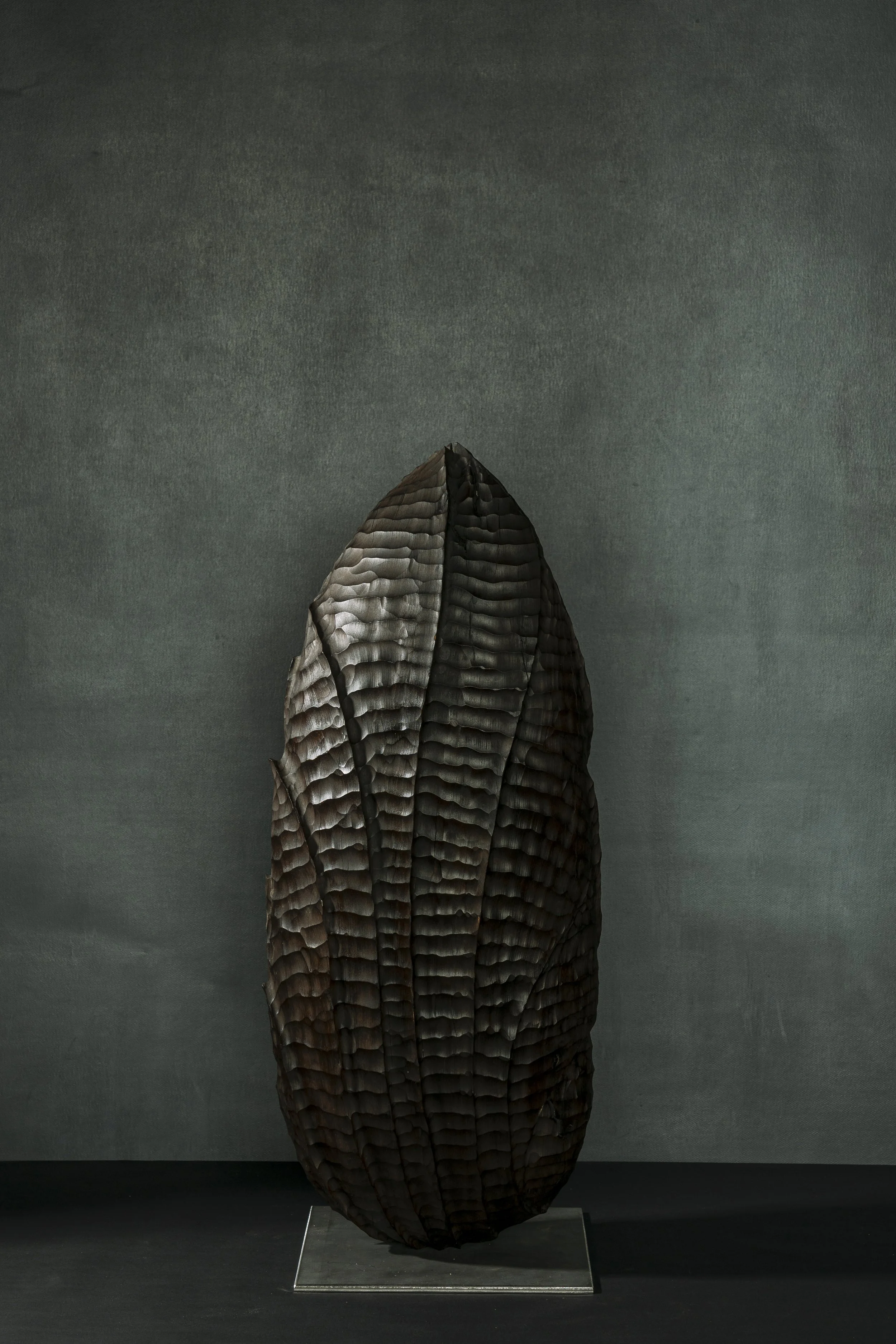 Schwarzer, strukturierter Gegenstand auf einem Display vor grauem Hintergrund.