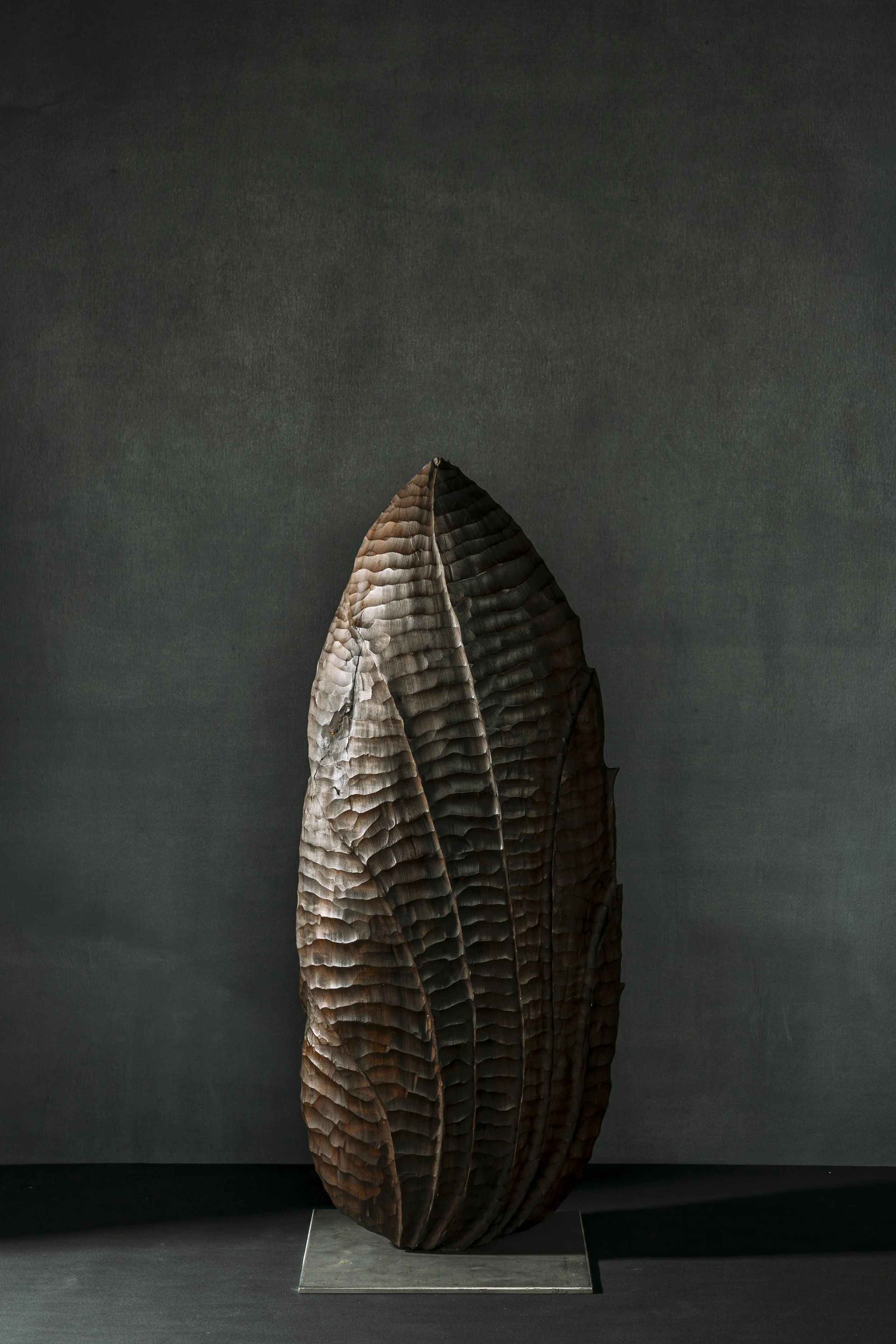 Dunkle Holzskulptur in Form eines großen Blattes auf einer transparenten Basis vor einem grauen Hintergrund.