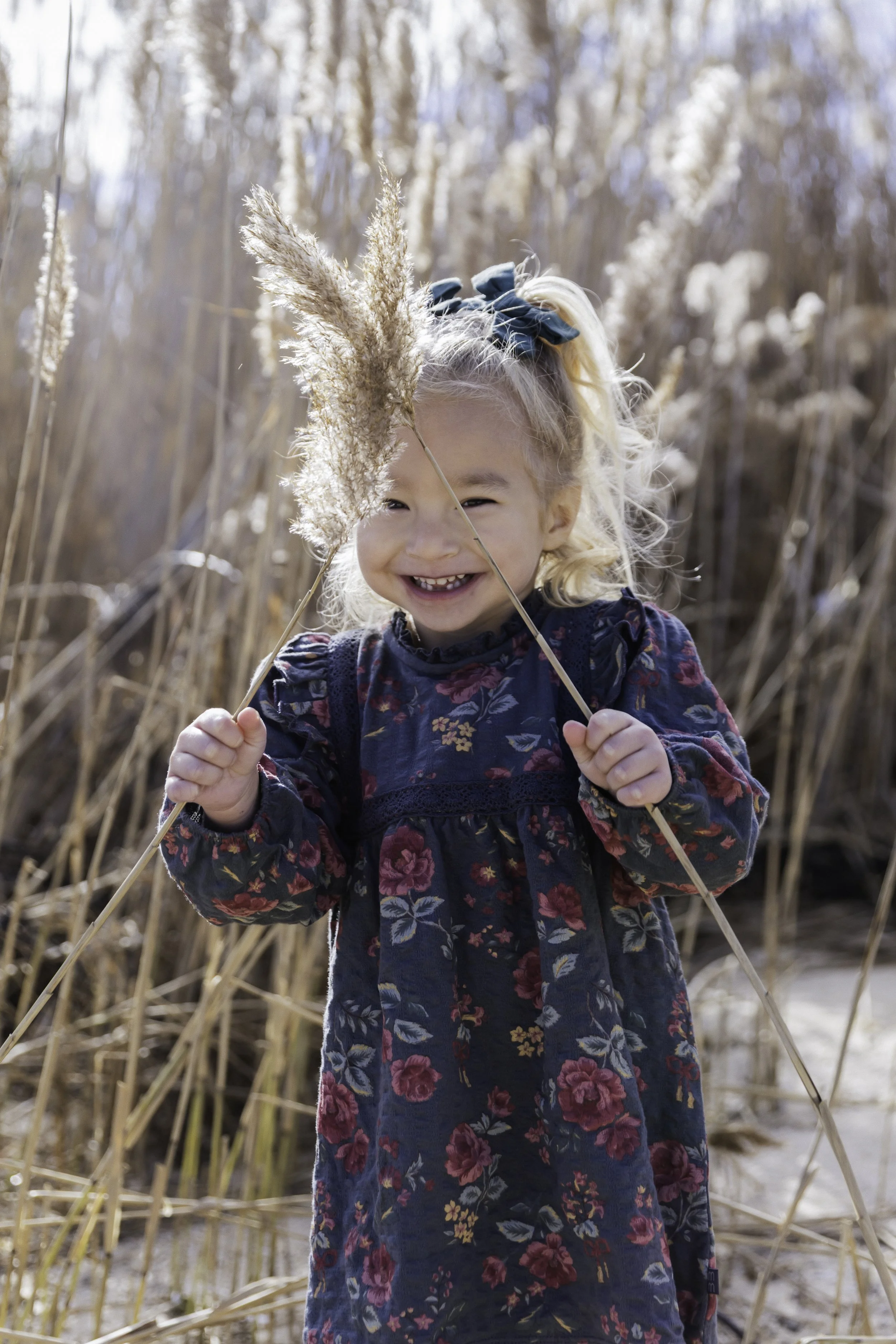Young girl in floral dress holding dried grass in field — New York City family lifestyle session