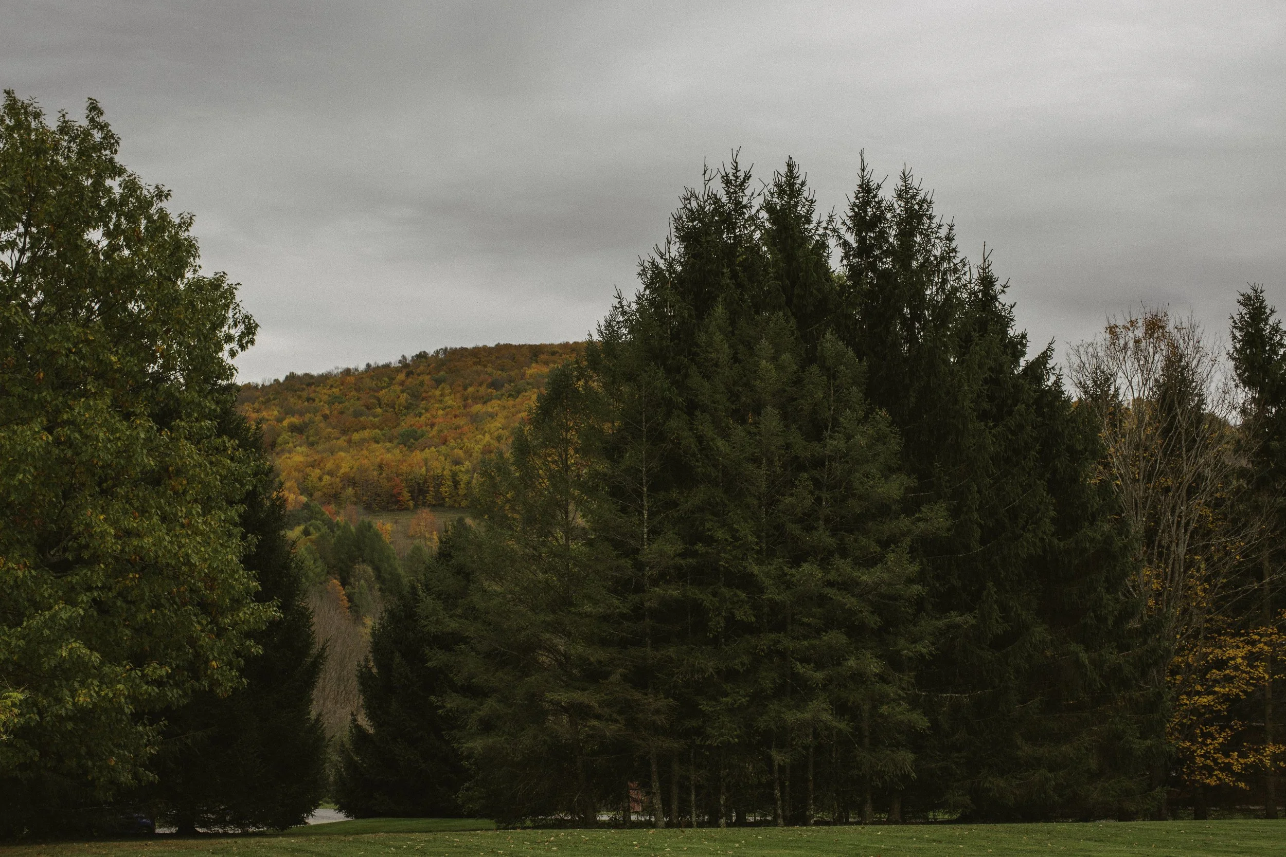 Overcast sky above a landscape of pine trees and a hillside with autumn foliage