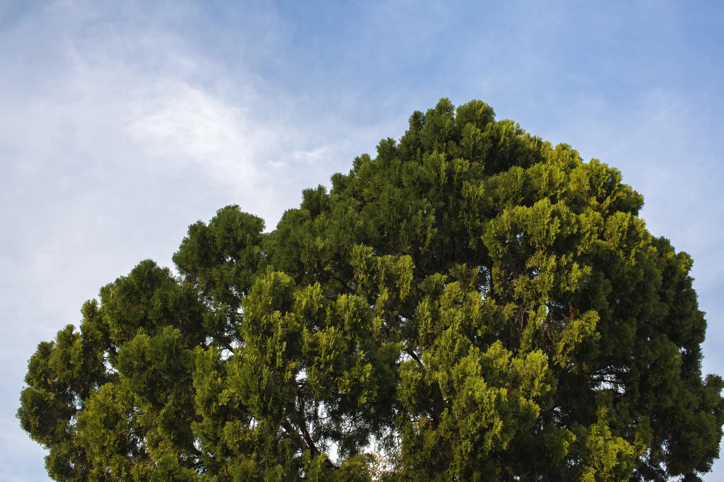 It's Good to See You