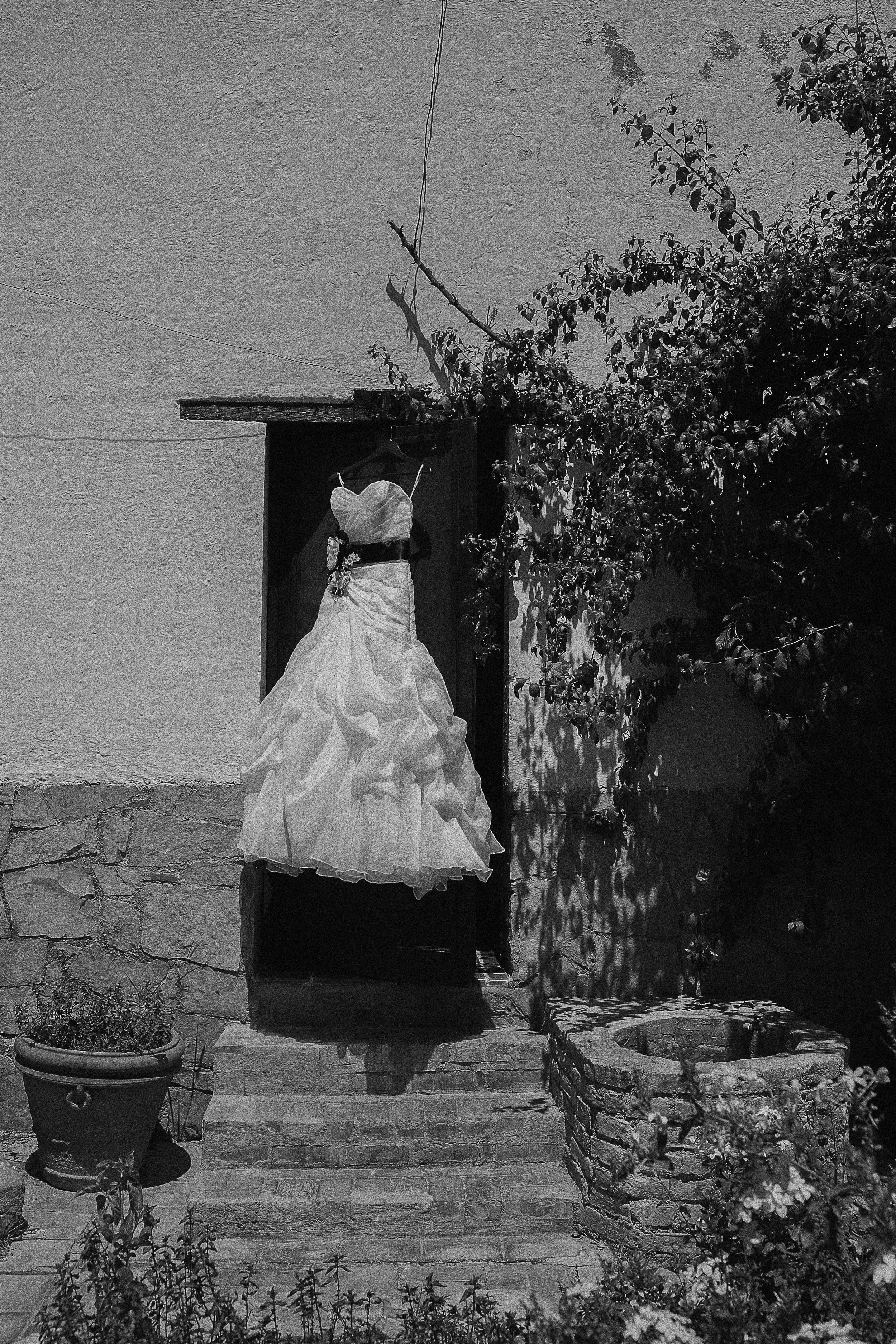 A wedding dress hanging on a hanger outside a door, surrounded by plants and shrubs, in black and white.