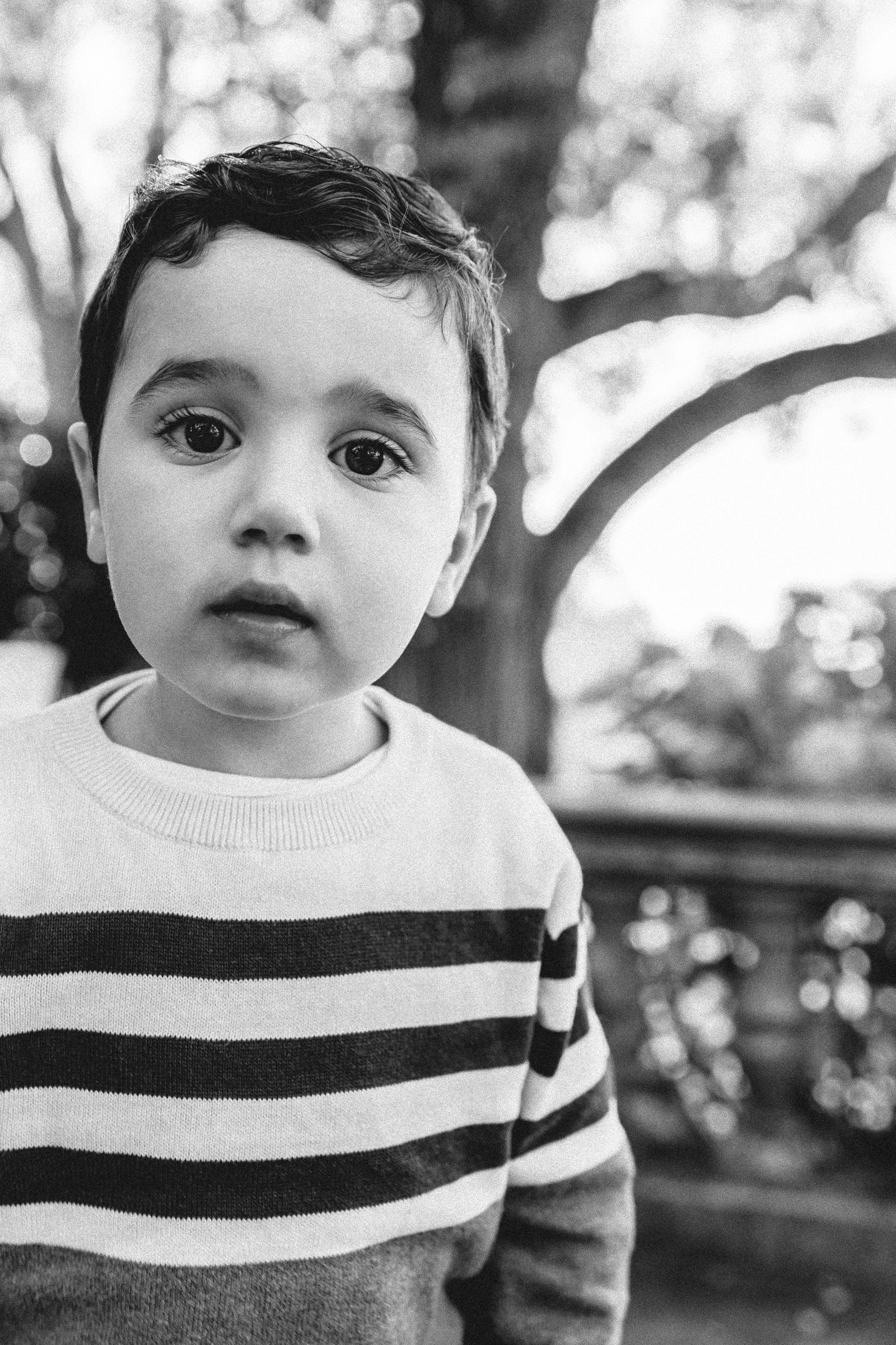 Portrait of a young boy outdoors with trees — NYC family lifestyle photography