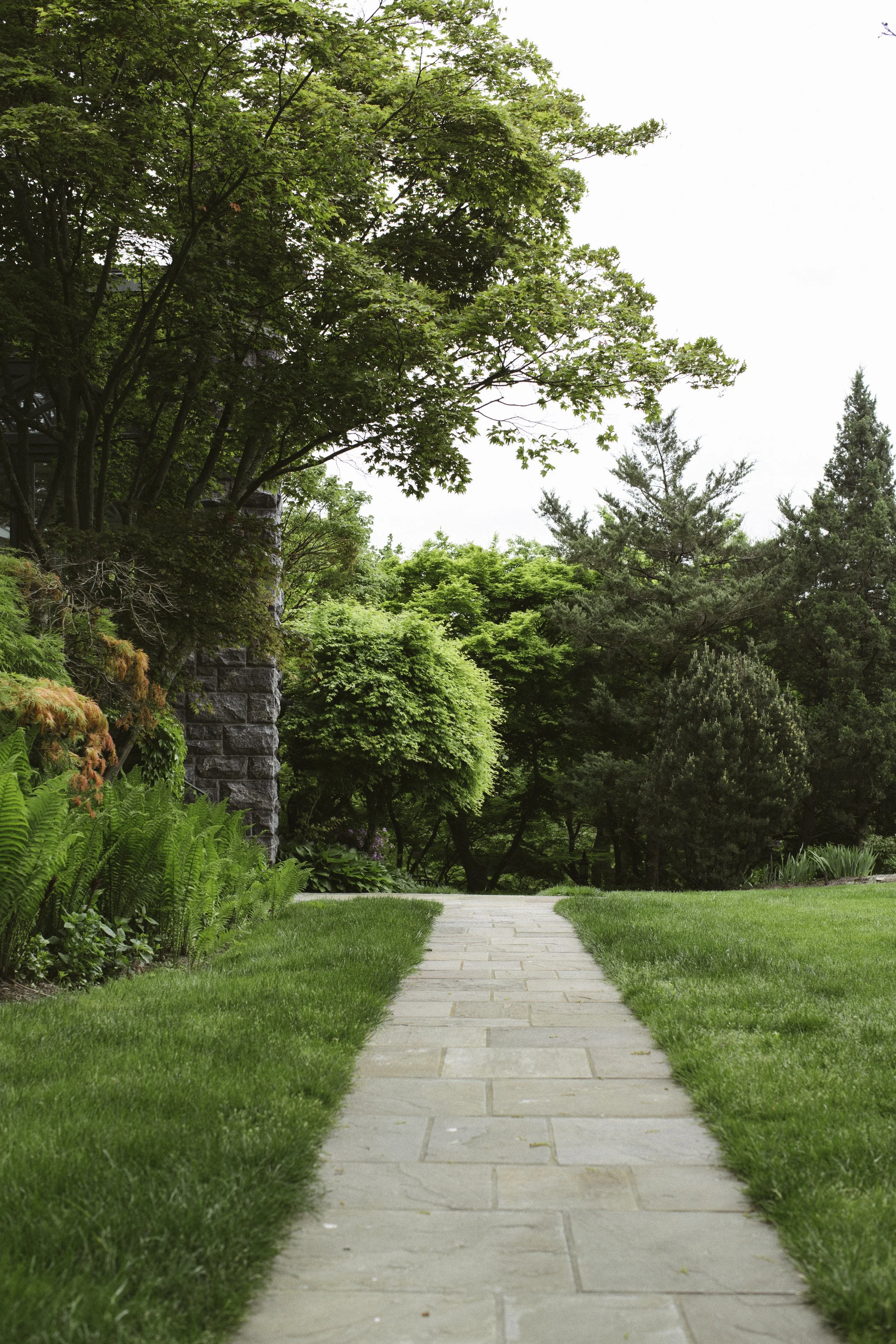 A stone pathway leading through a garden with lush green grass, trees, and shrubs.