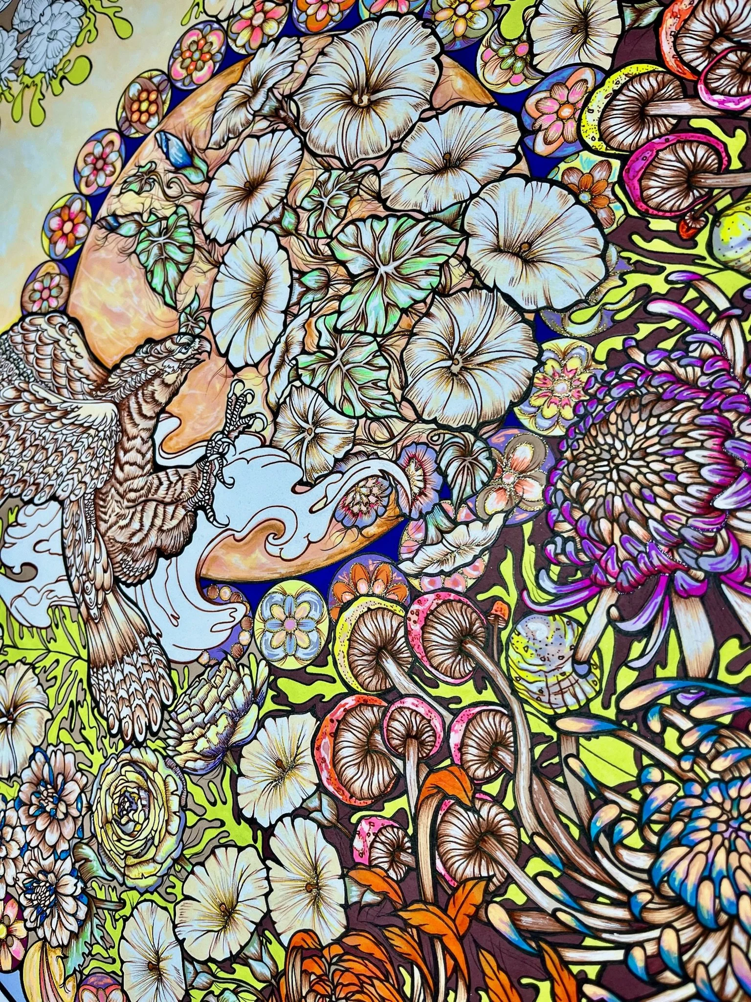 'Forever Goldrush Album'