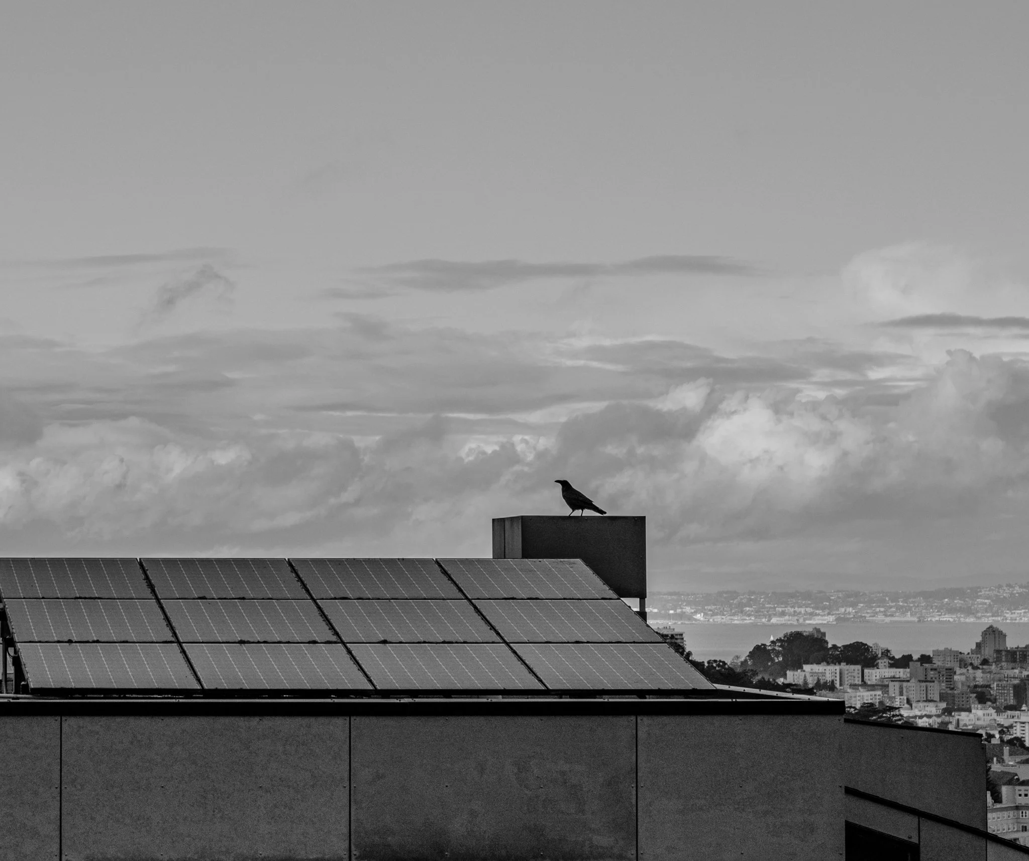 Black and white photo of a cityscape with a rooftop and a bird perched on a structure. The sky is cloudy.