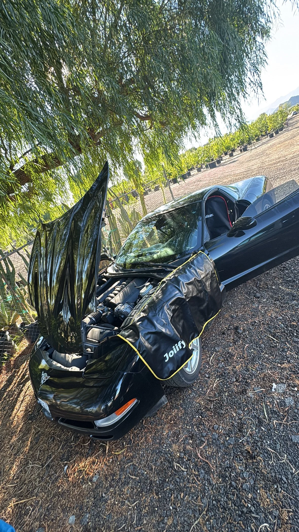 A black sports car with its hood open, parked under a tree in a field with rows of plants, possibly cacti, behind a fence.