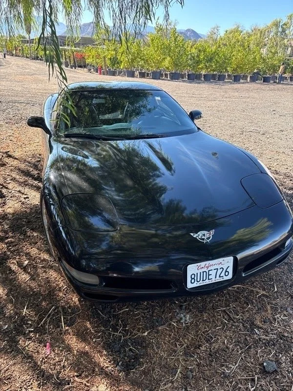 Black Chevrolet Corvette parked on a dirt surface, with trees and potted plants in the background, and mountains in the distance.