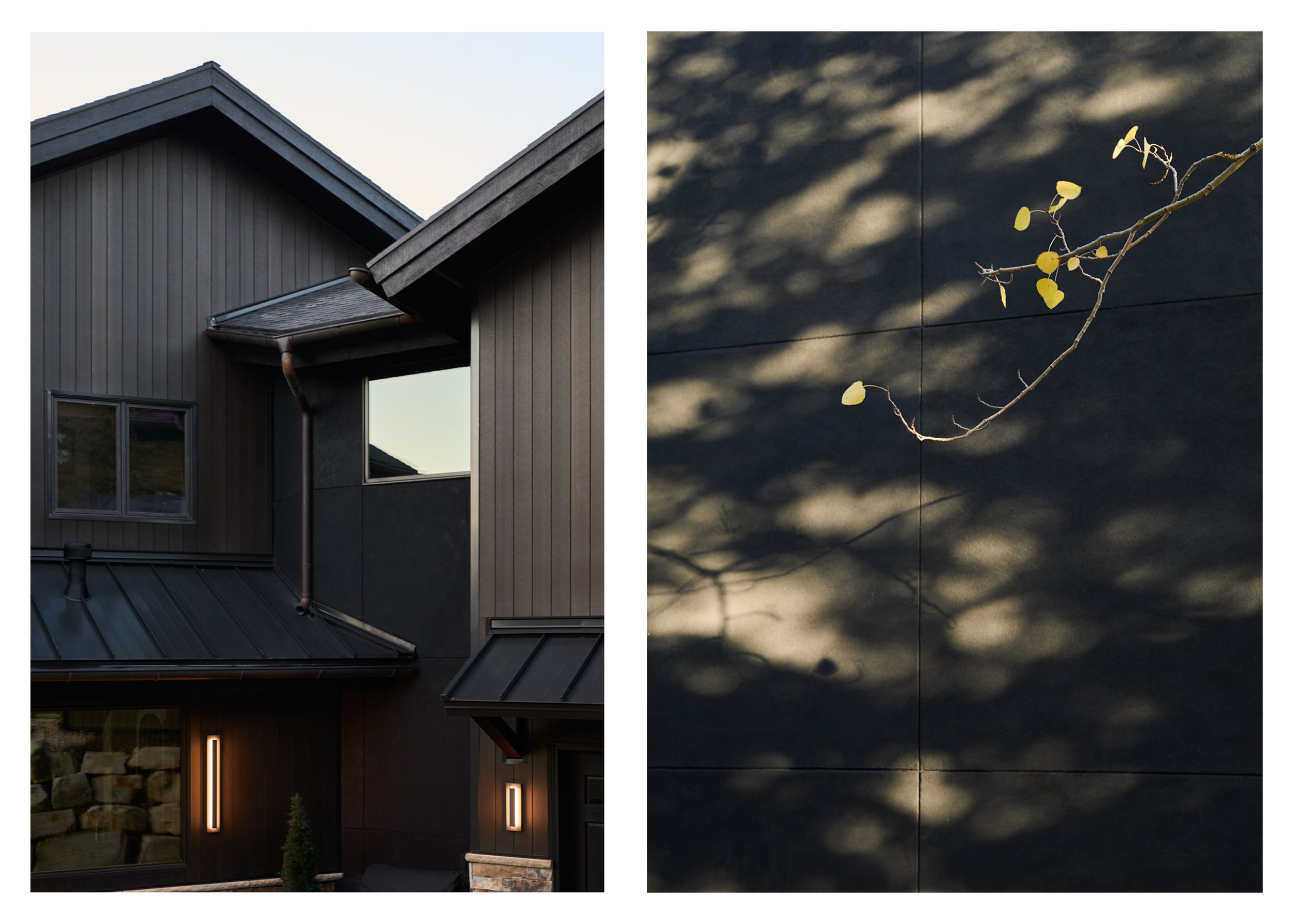 Split-screen image of a modern house exterior on the left and a shadow of a branch with yellow leaves on a dark wall on the right.