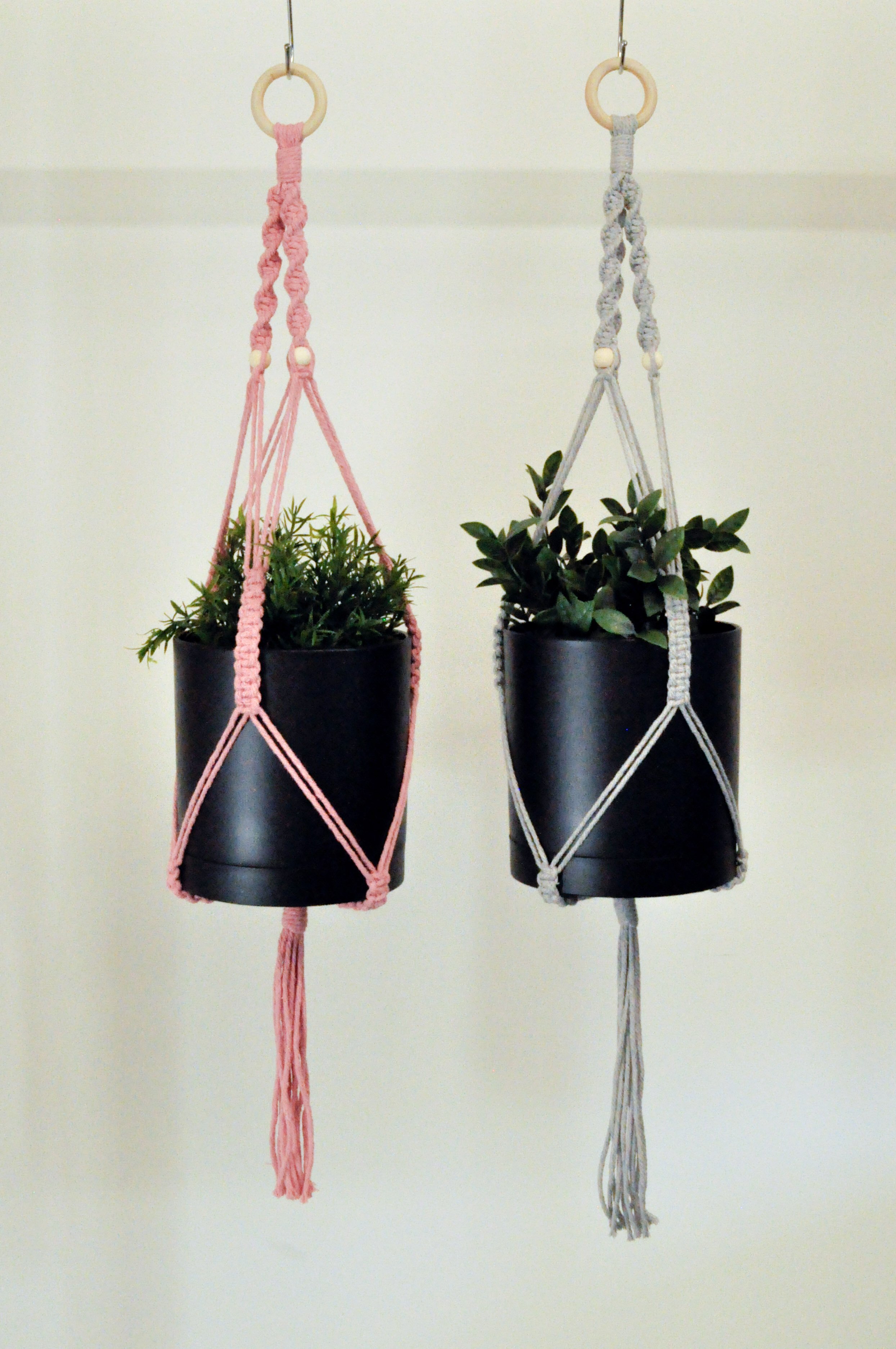 Ver2_All_9_Plant Hangers.jpg