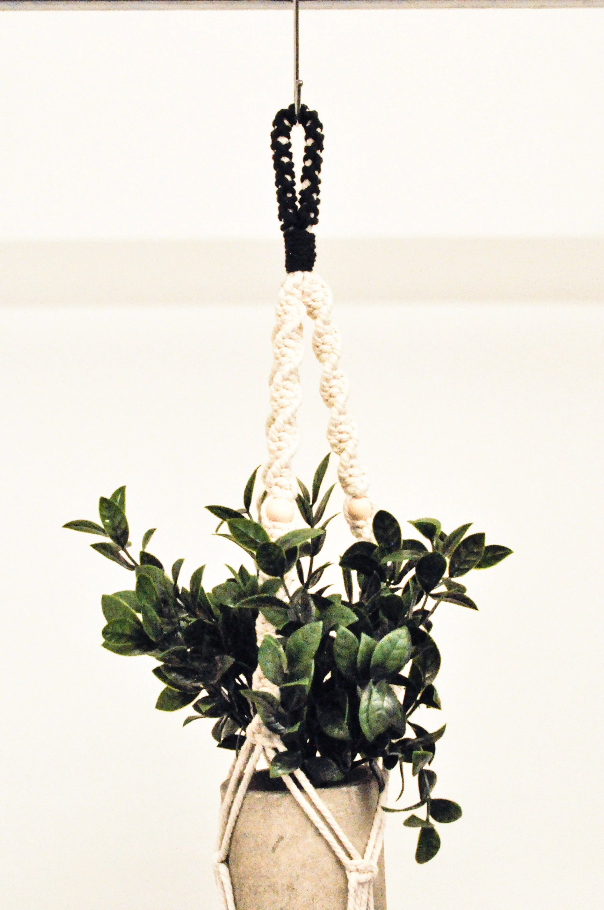 Ver1_Natural_Black_3_Plant Hangers.jpg