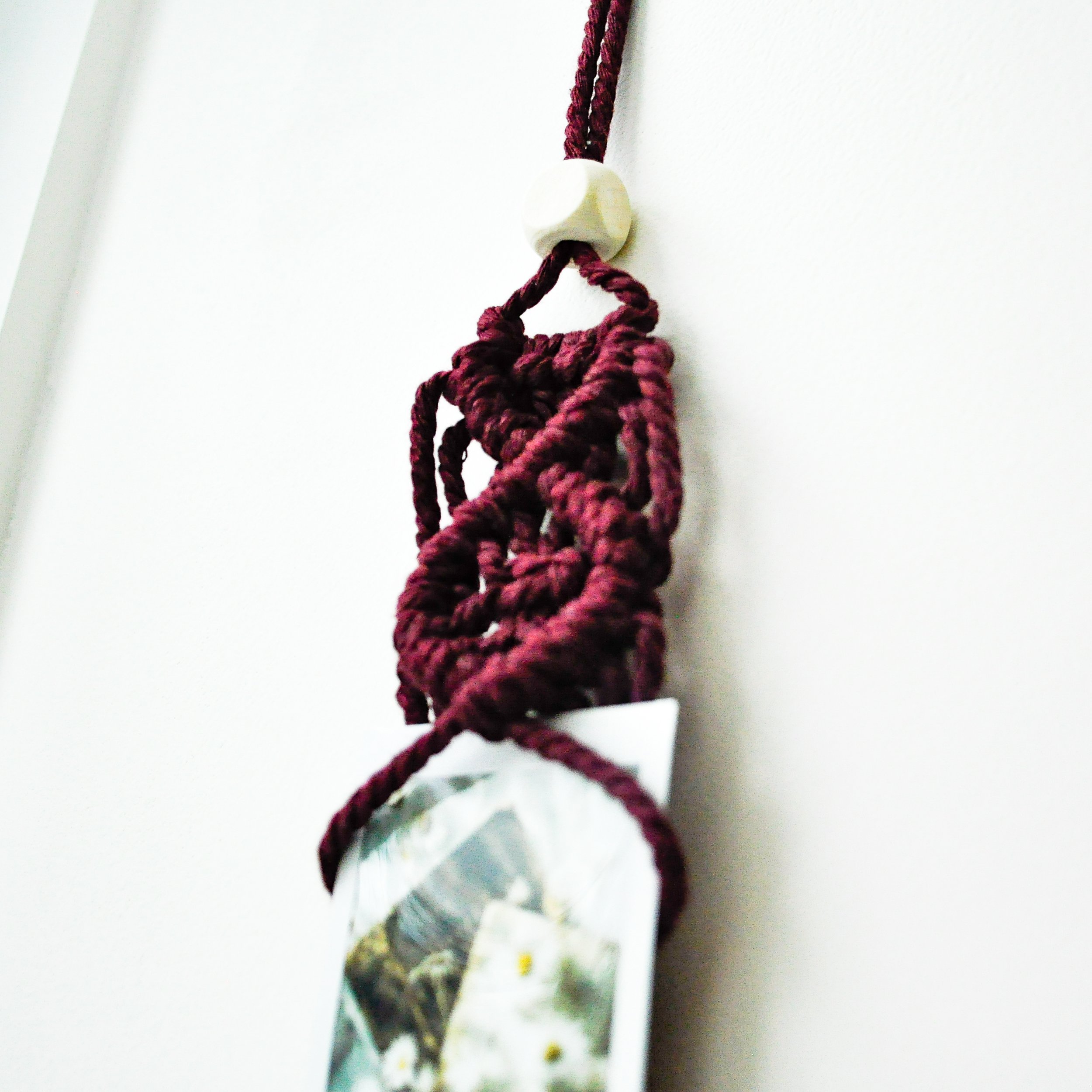 3-Burgundy_Single Polaroid Hanger.jpg