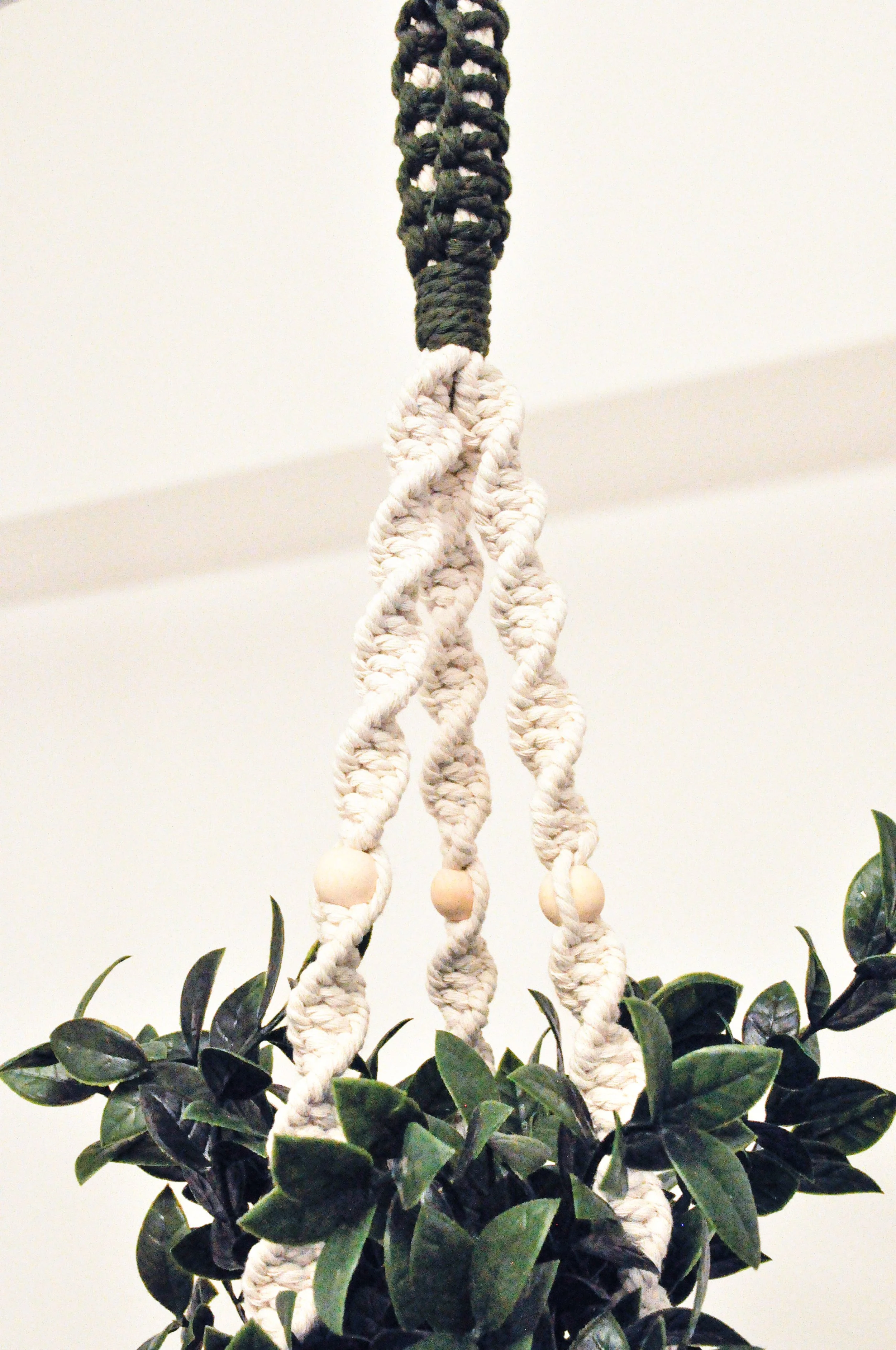 Ver1_Natural_Army Green_4_Plant Hangers.jpg