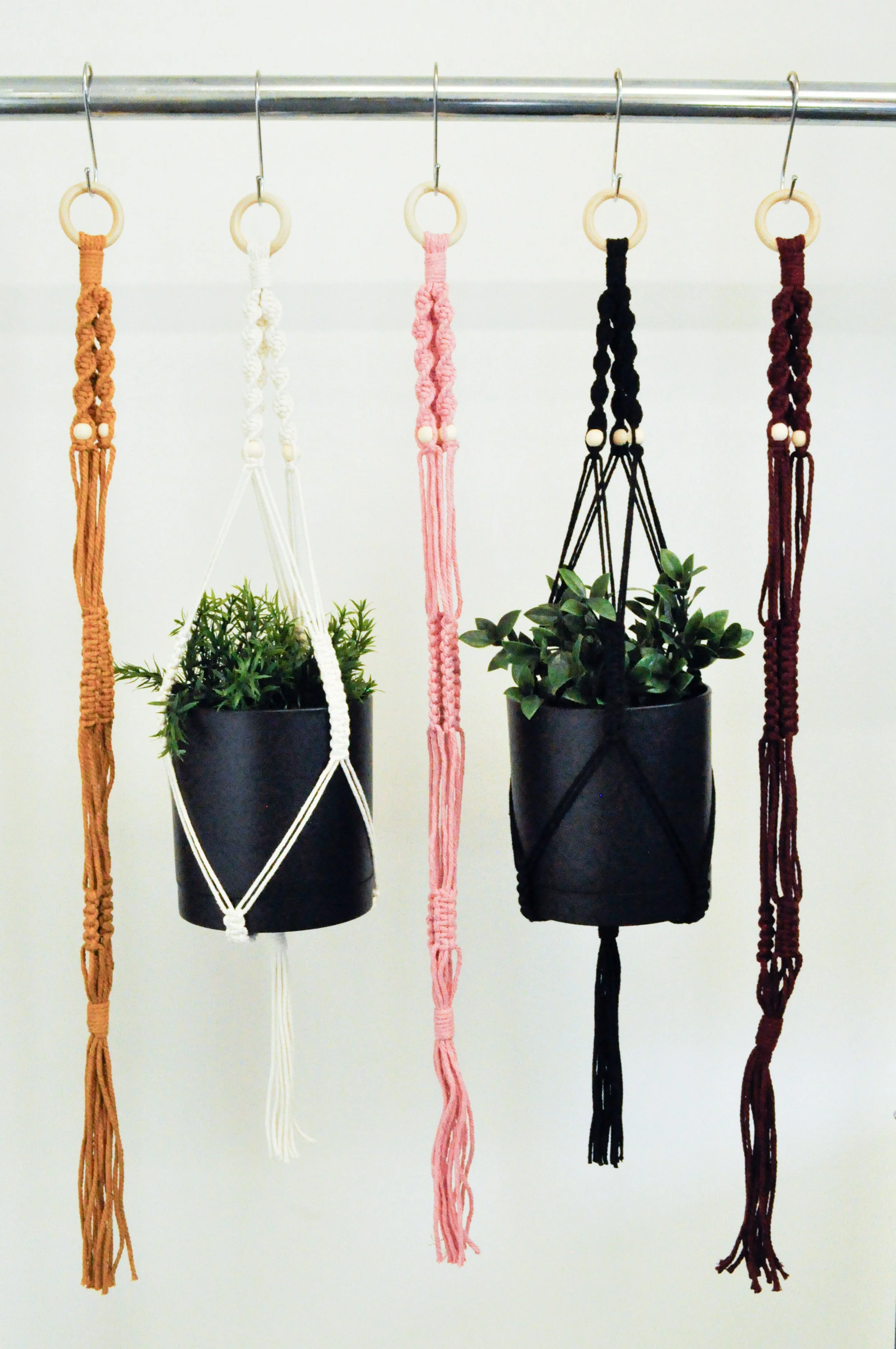 Ver2_All_1_Plant Hangers.jpg