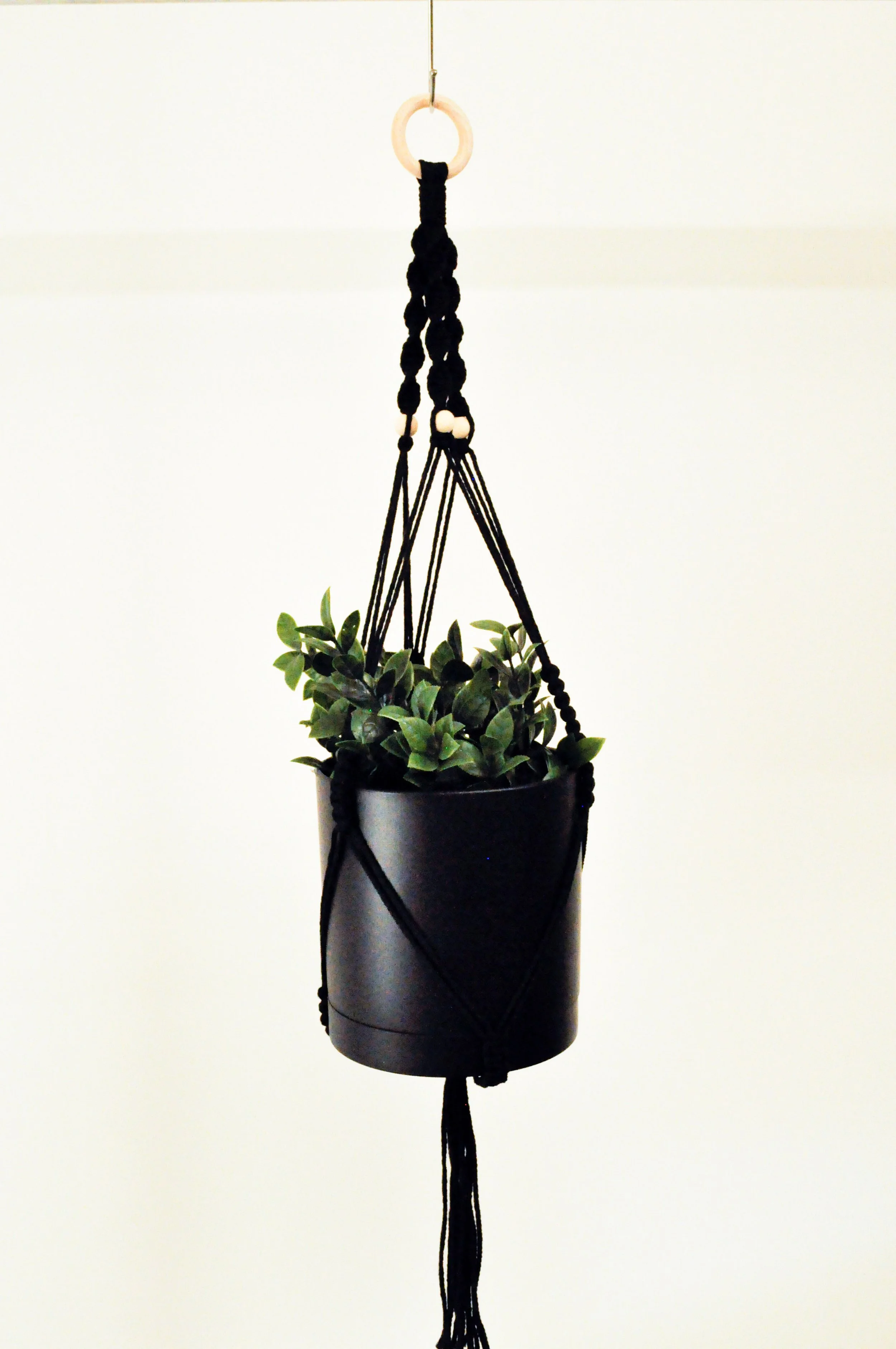 Ver2_Black_2_Plant Hangers.jpg