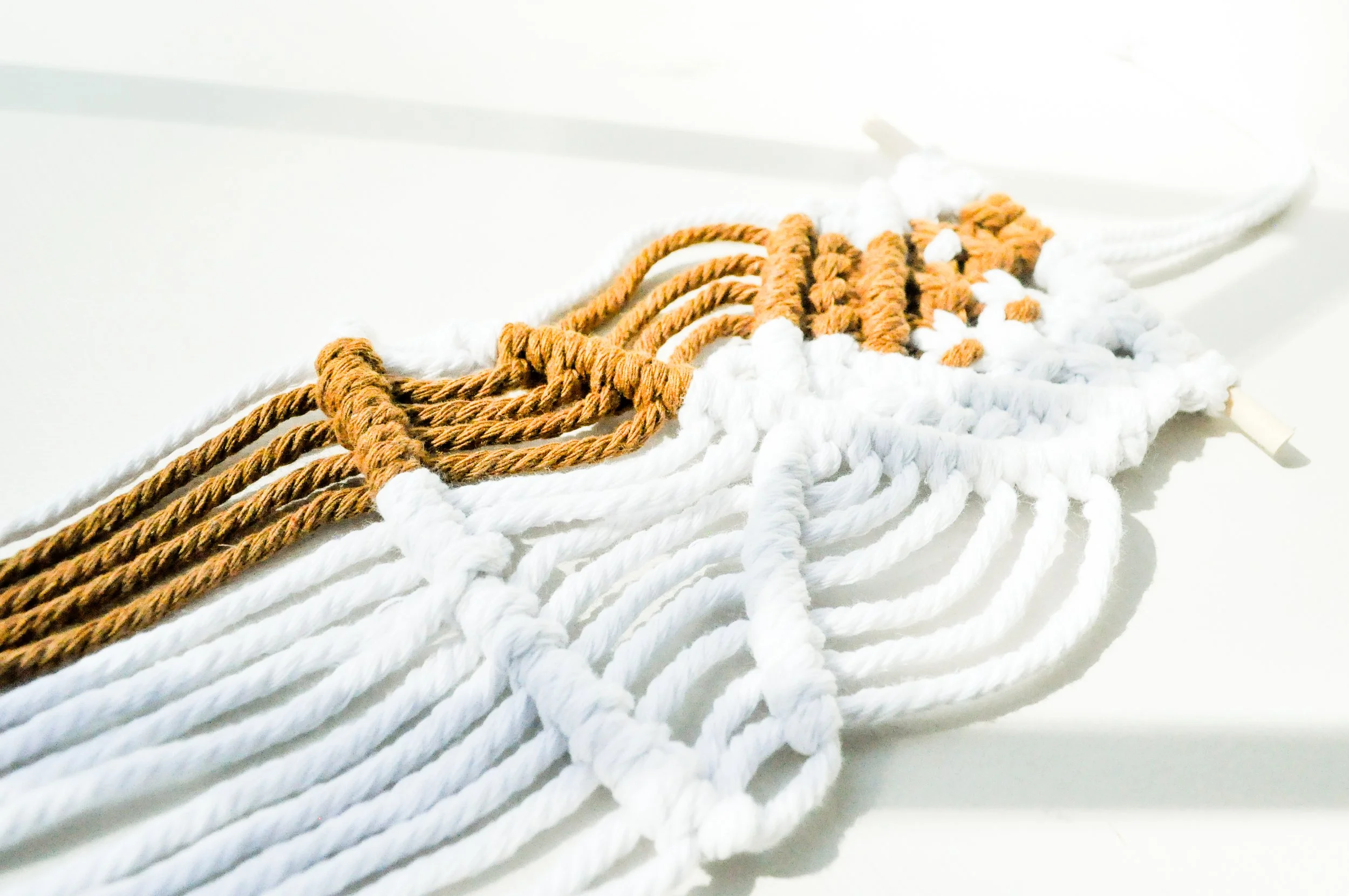 10_Brown_White_Mini Plant Hanger.jpg
