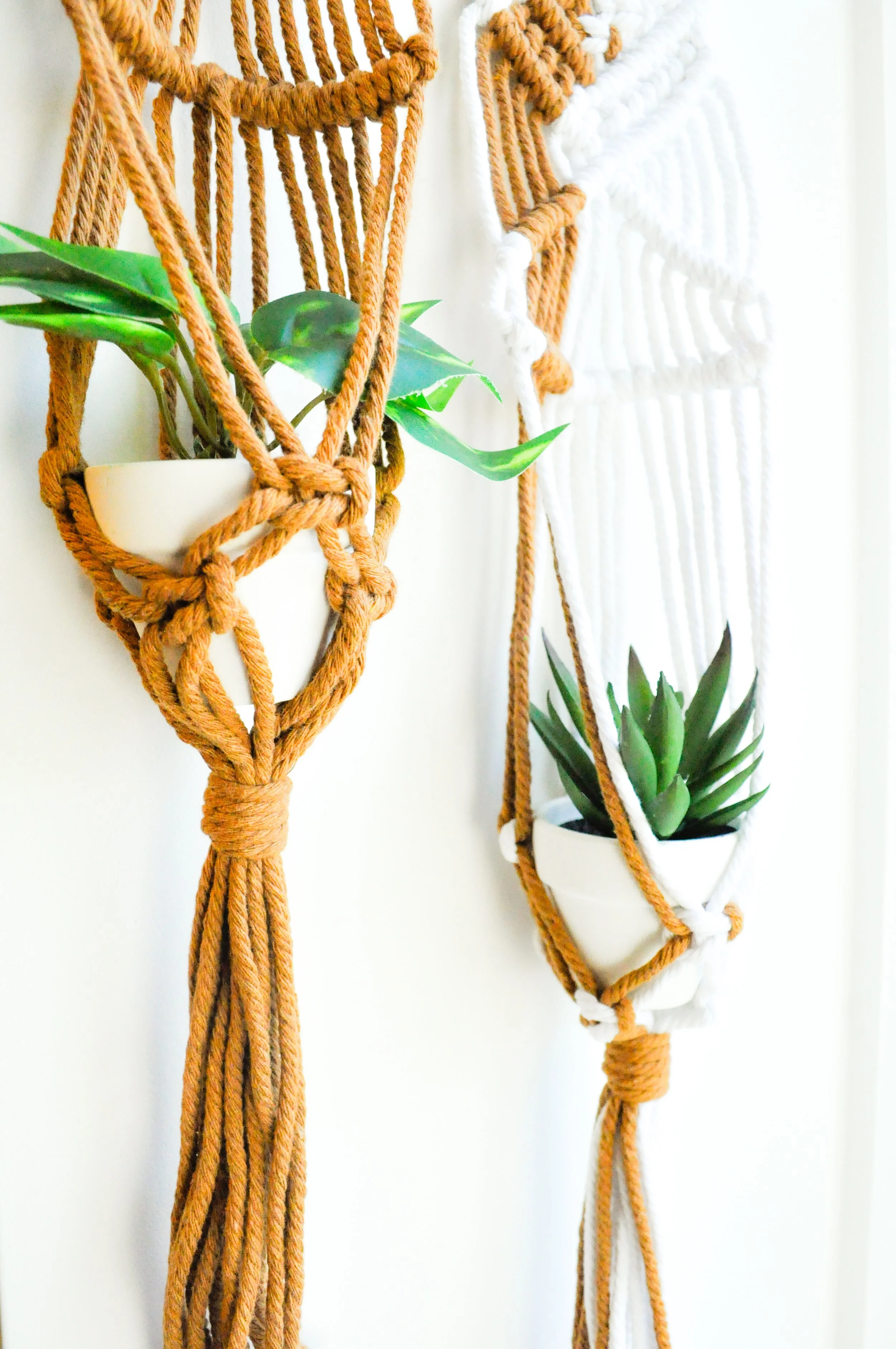 Mini Plant Hanger