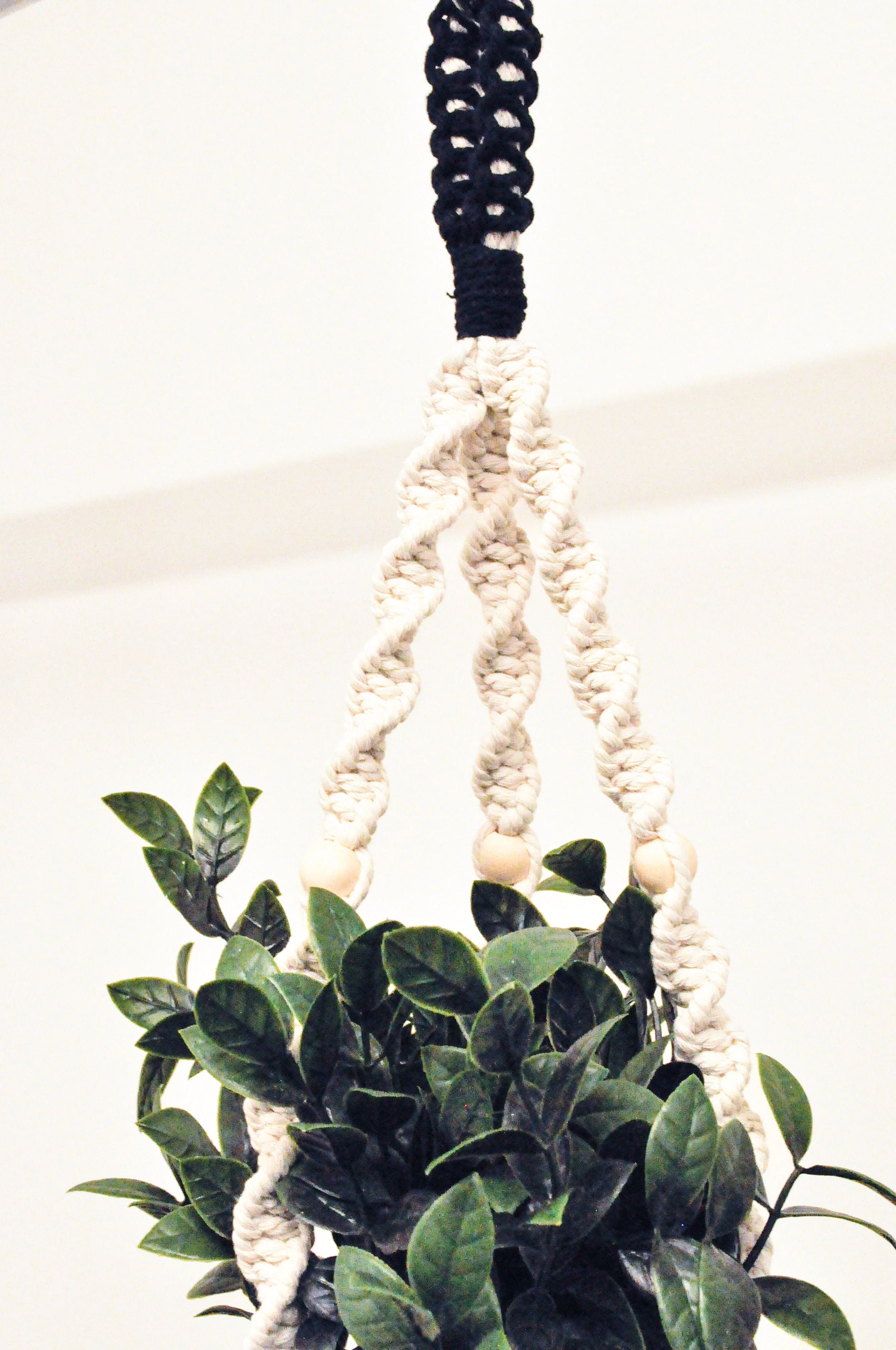 Ver1_Natural_Black_4_Plant Hangers.jpg