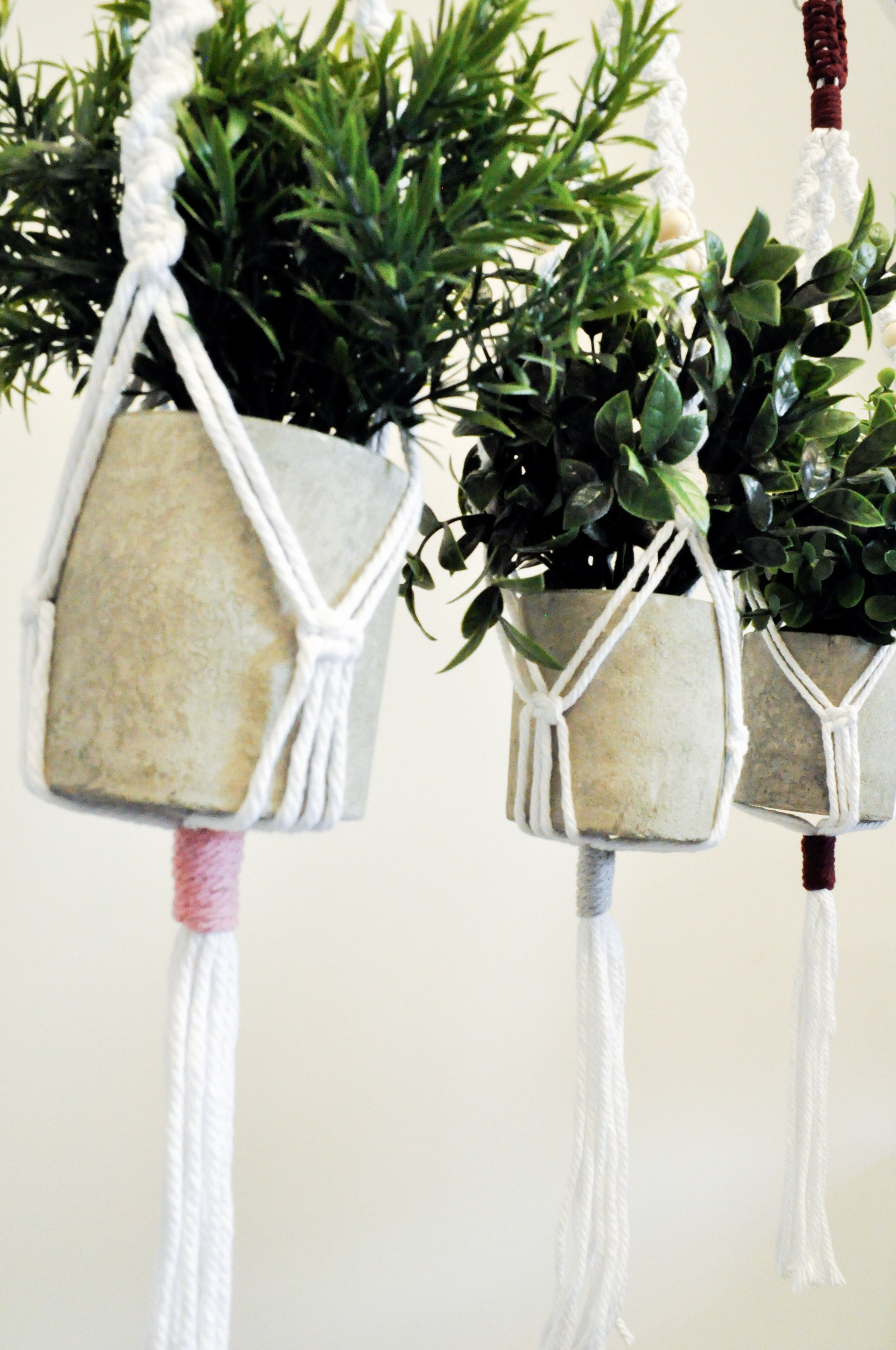 Ver1_White_All_5_Plant Hangers.jpg