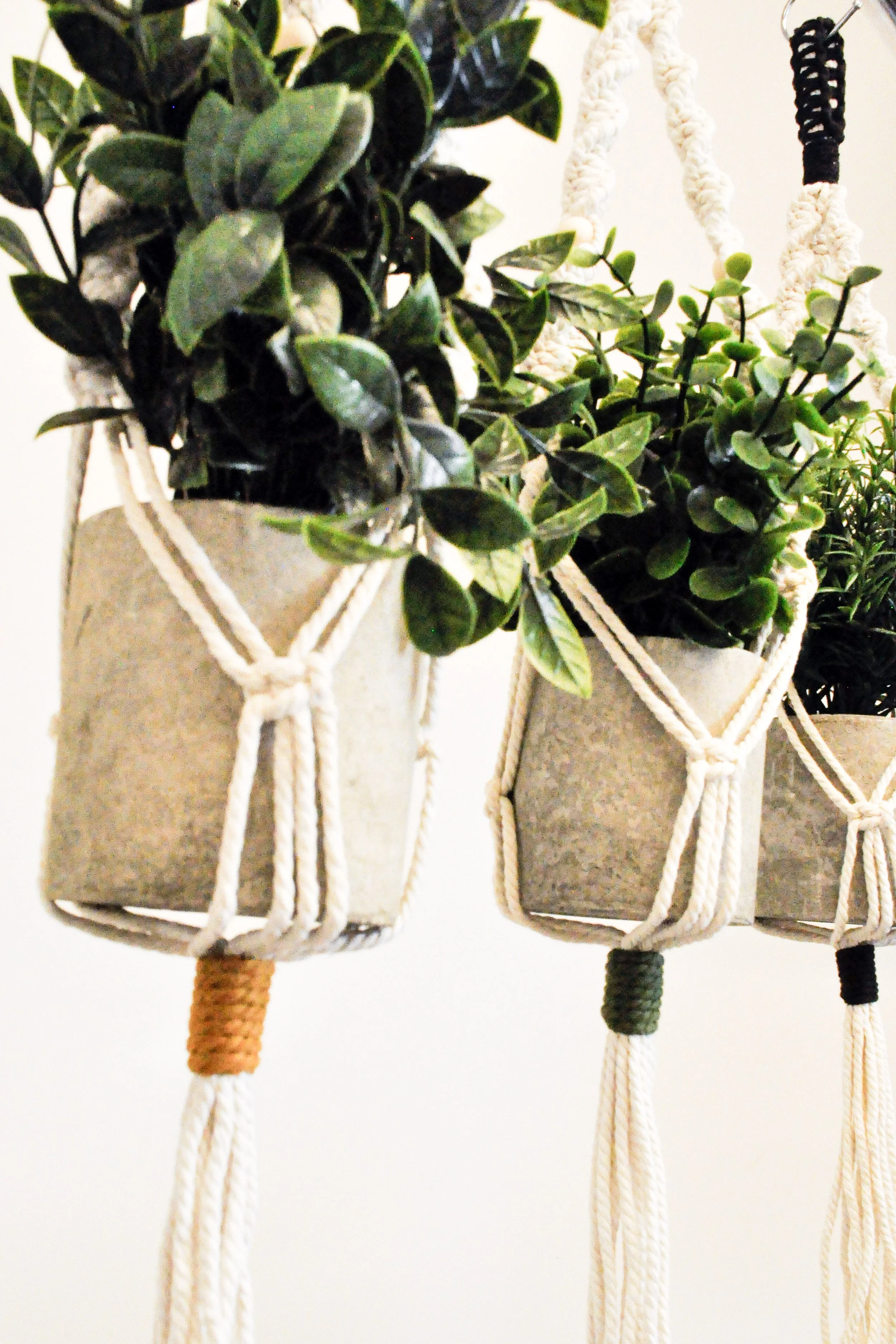Ver1_Natural_All_4_Plant Hangers.jpg