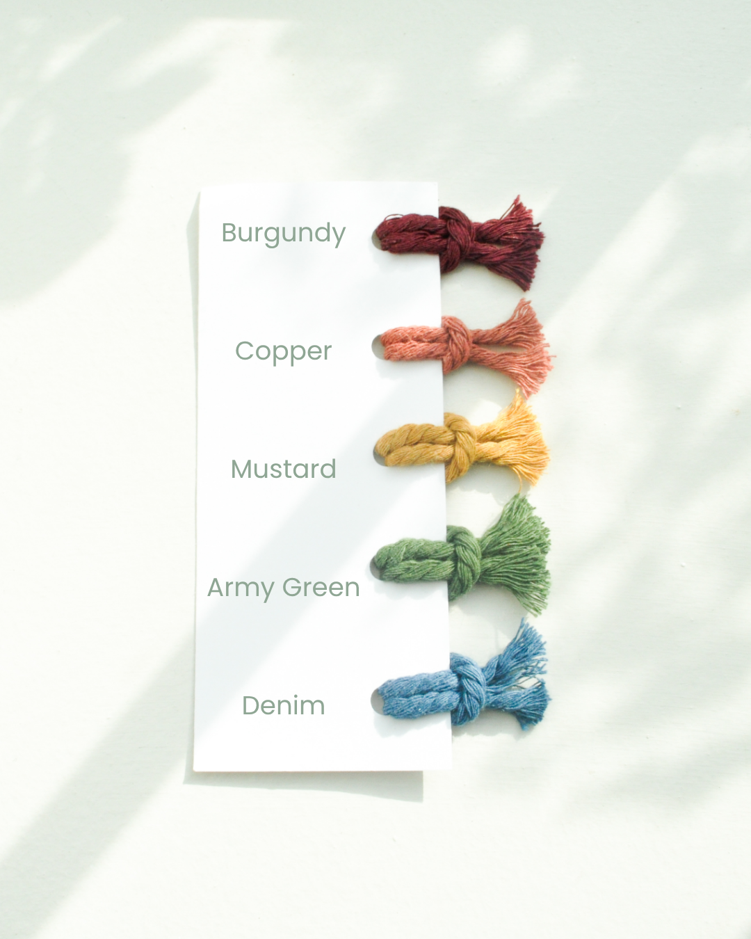 Color Card 5.png