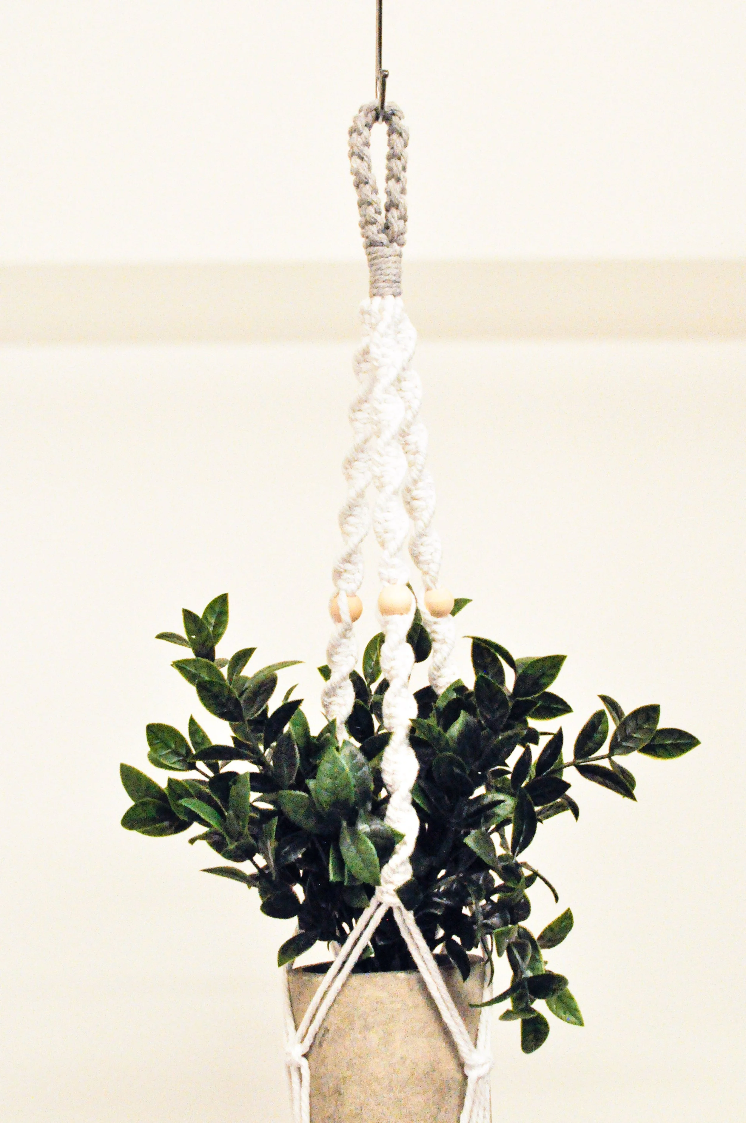 Ver1_White_Gray_2_Plant Hangers.jpg