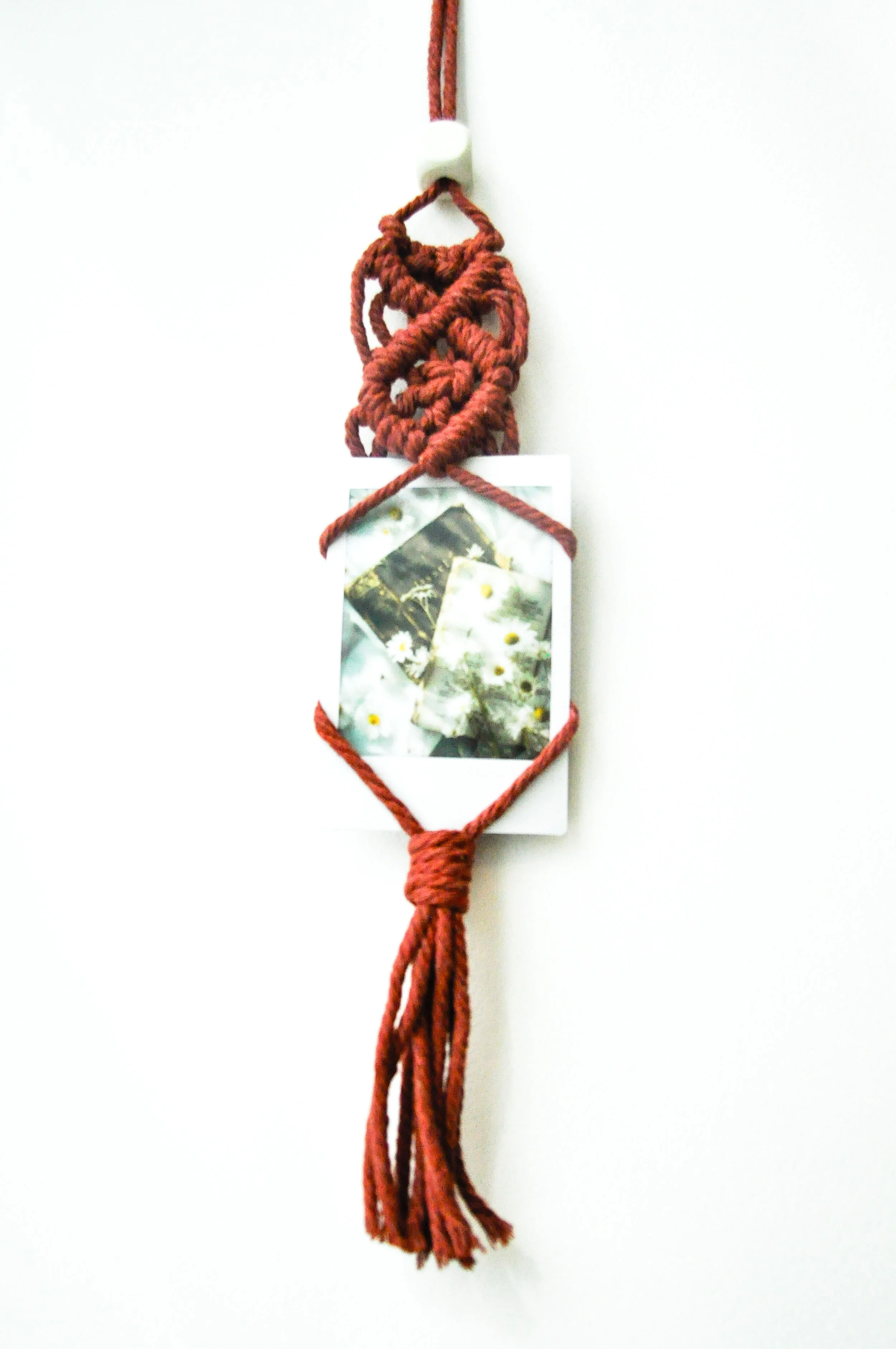 1-Rust_Single Polaroid Hanger.jpg