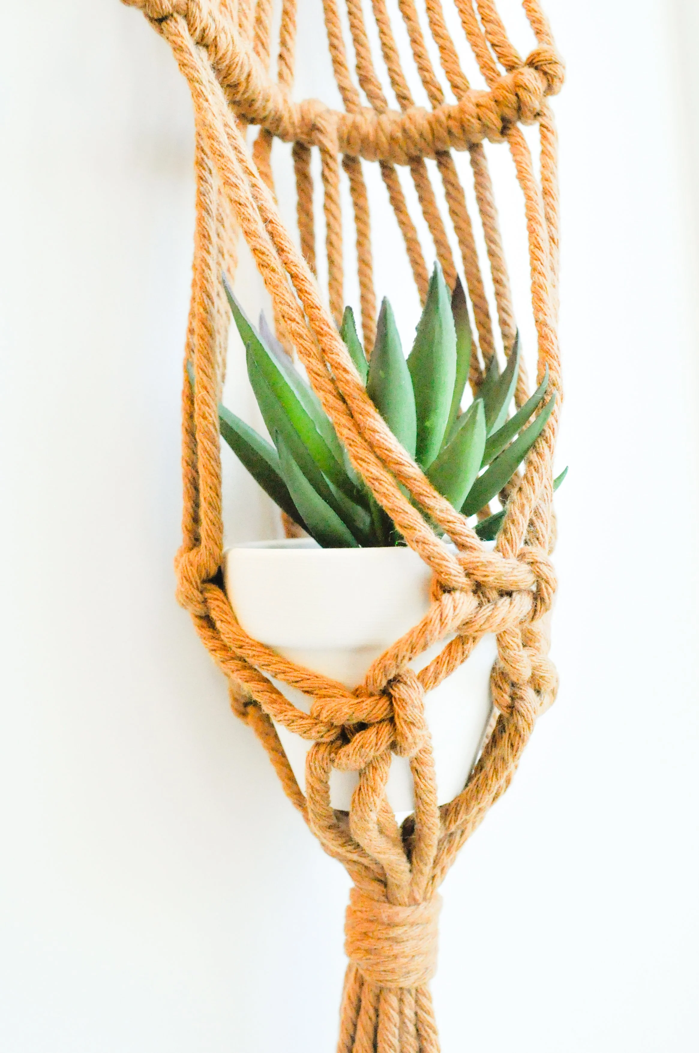 8_Brown_Mini Plant Hanger.jpg