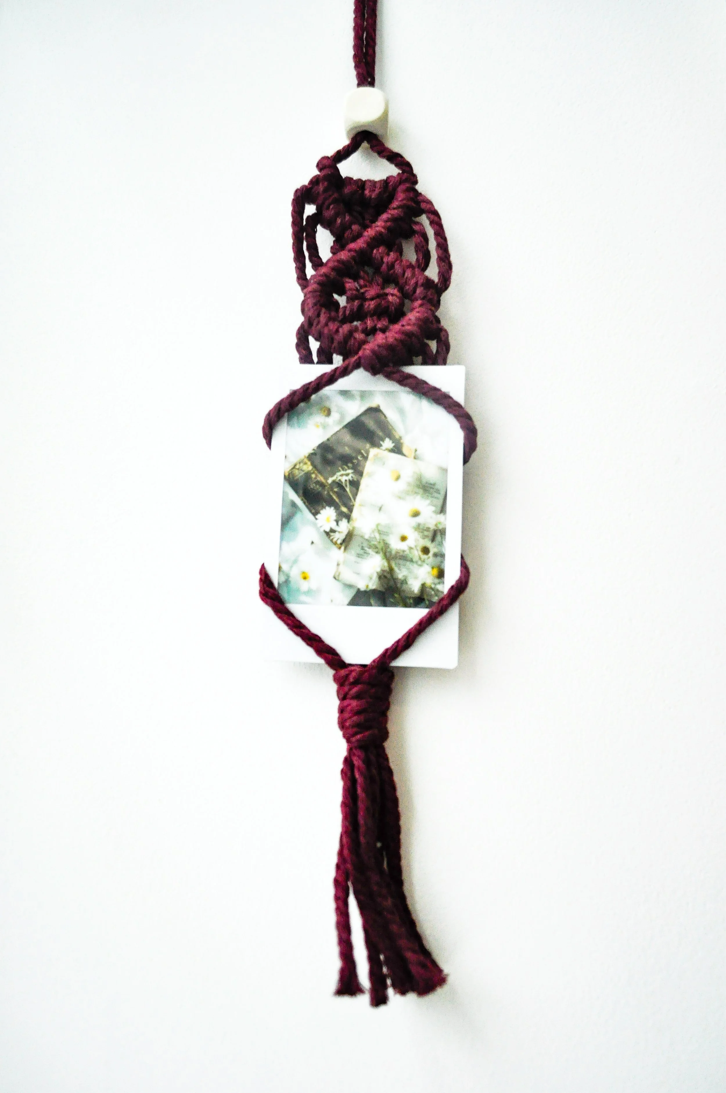 1-Burgundy_Single Polaroid Hanger.jpg