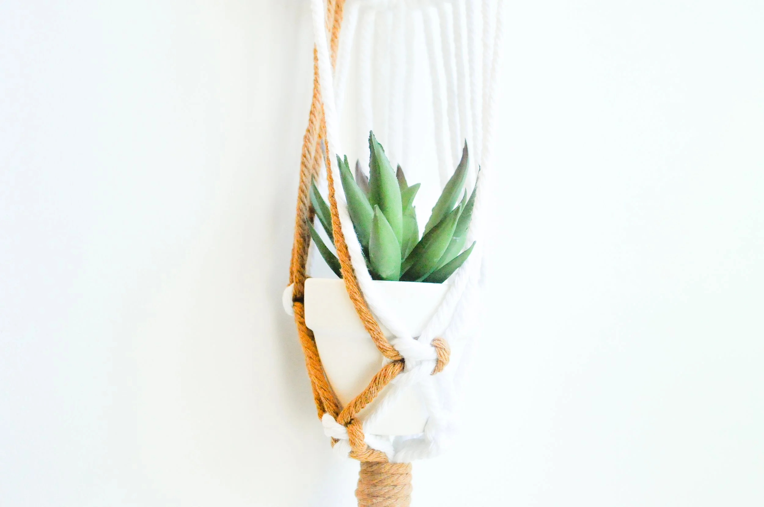 8_Brown_White_Mini Plant Hanger.jpg