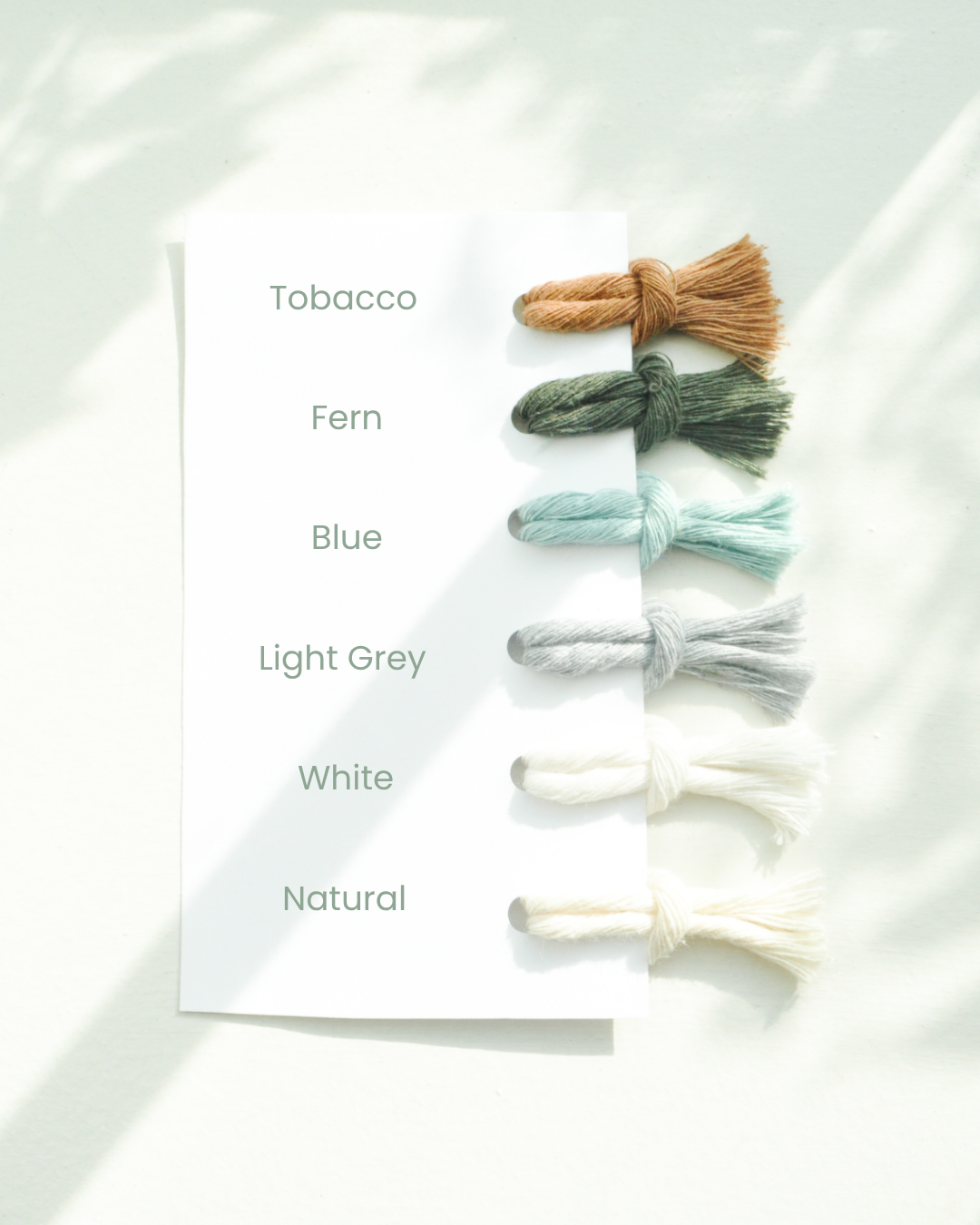 Color Card 1.png
