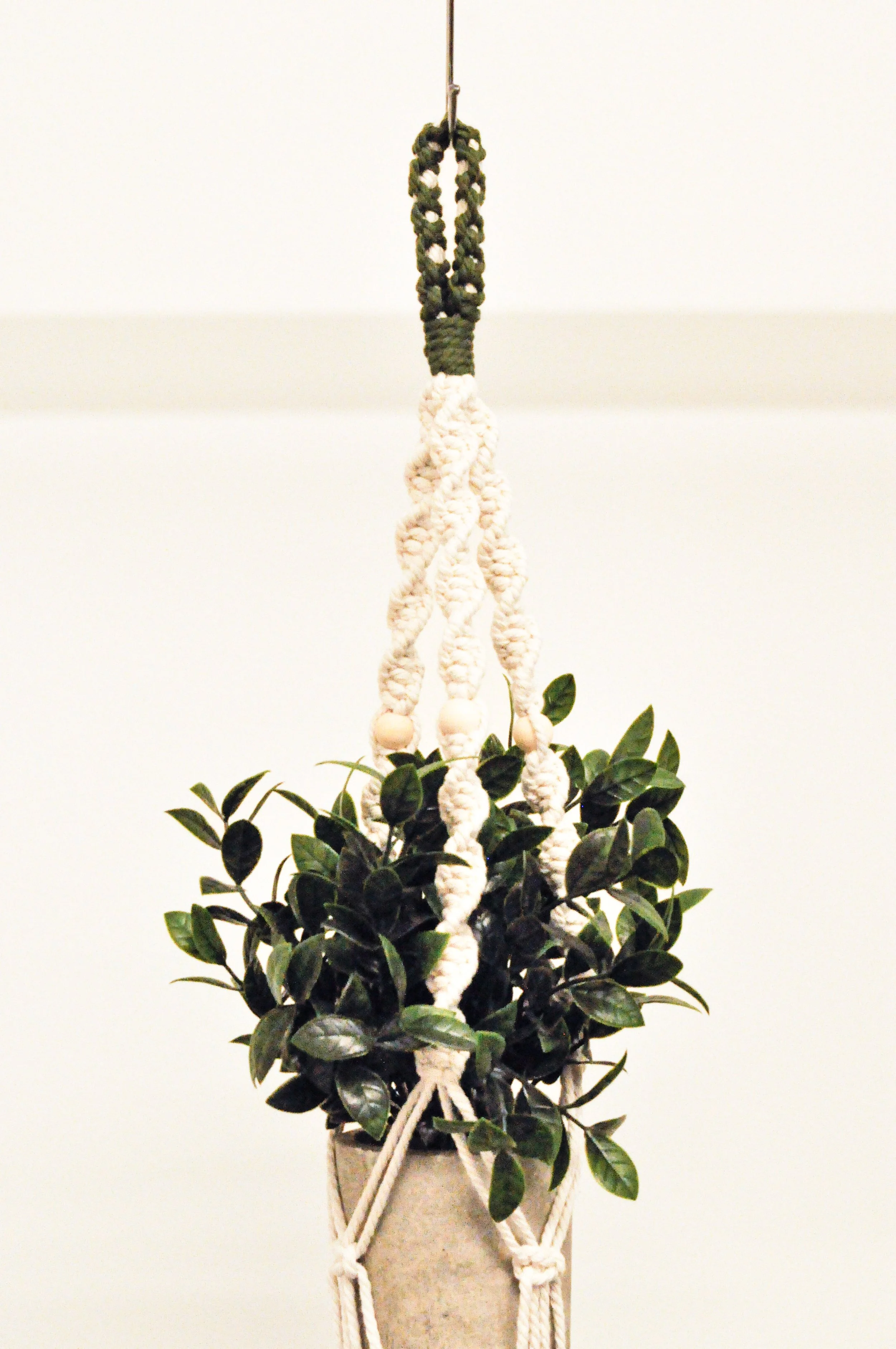 Ver1_Natural_Army Green_2_Plant Hangers.jpg