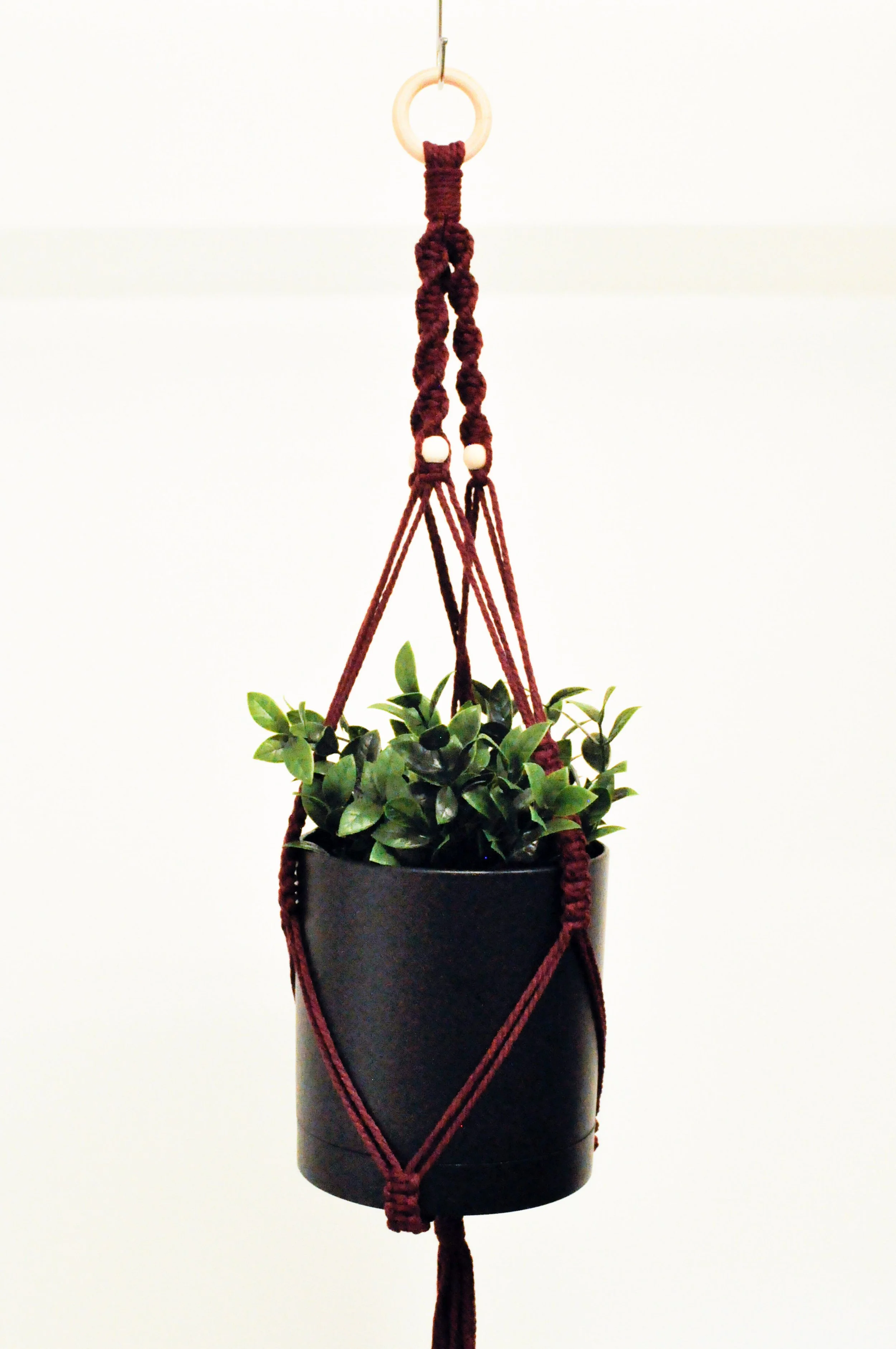 Ver2_Burgundy_1_Plant Hangers.jpg