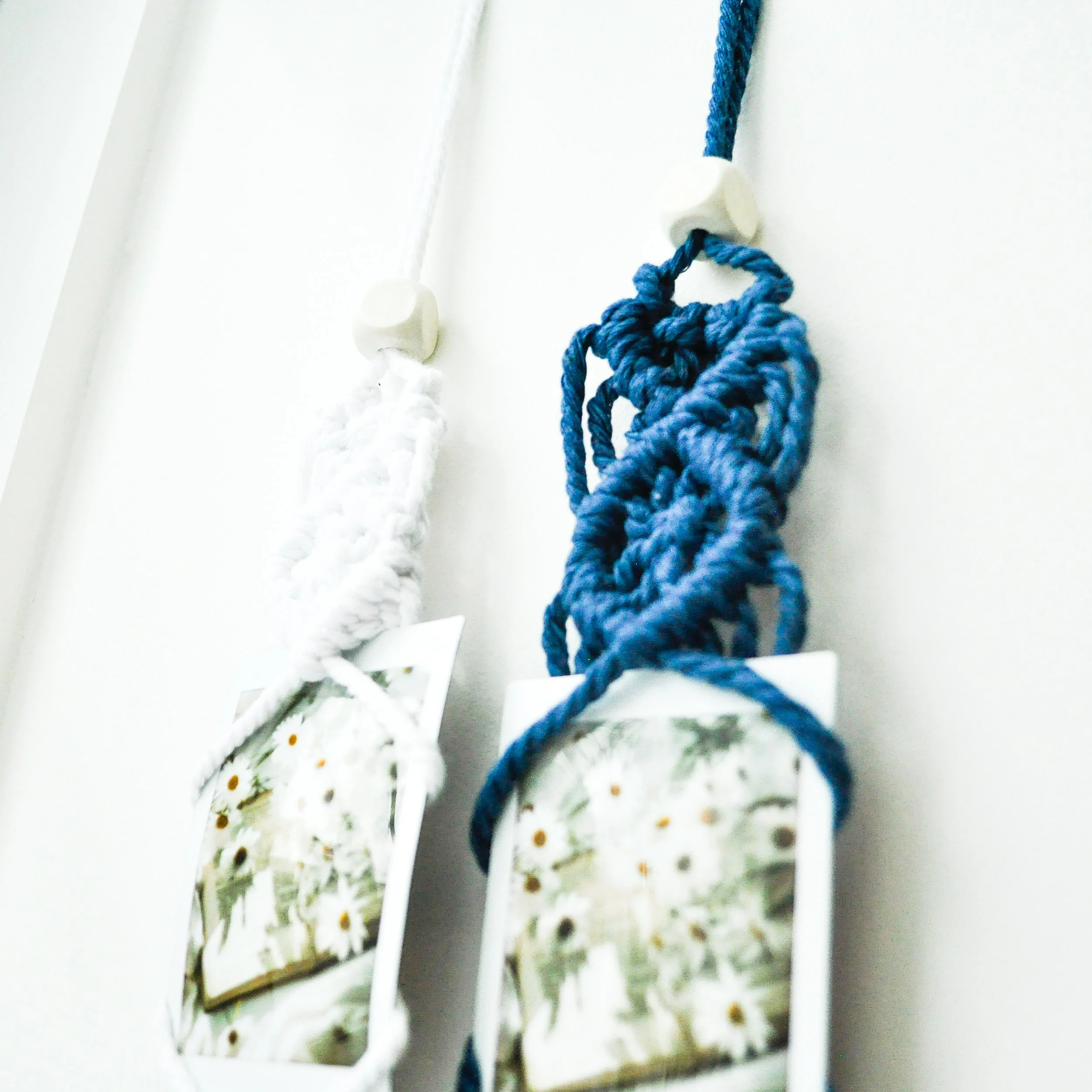 2-Mix_Single Polaroid Hanger.jpg