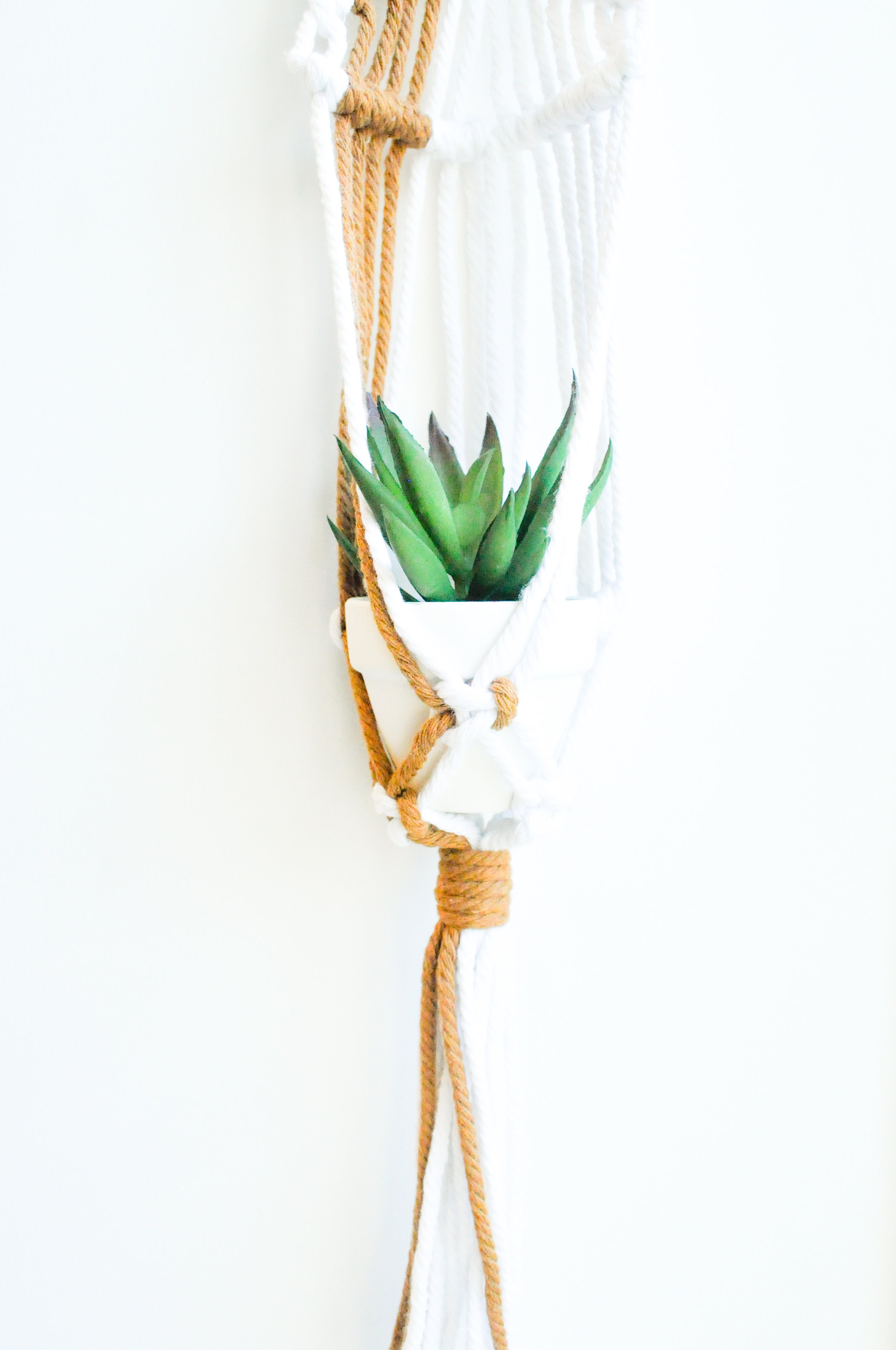 9_Brown_White_Mini Plant Hanger.jpg