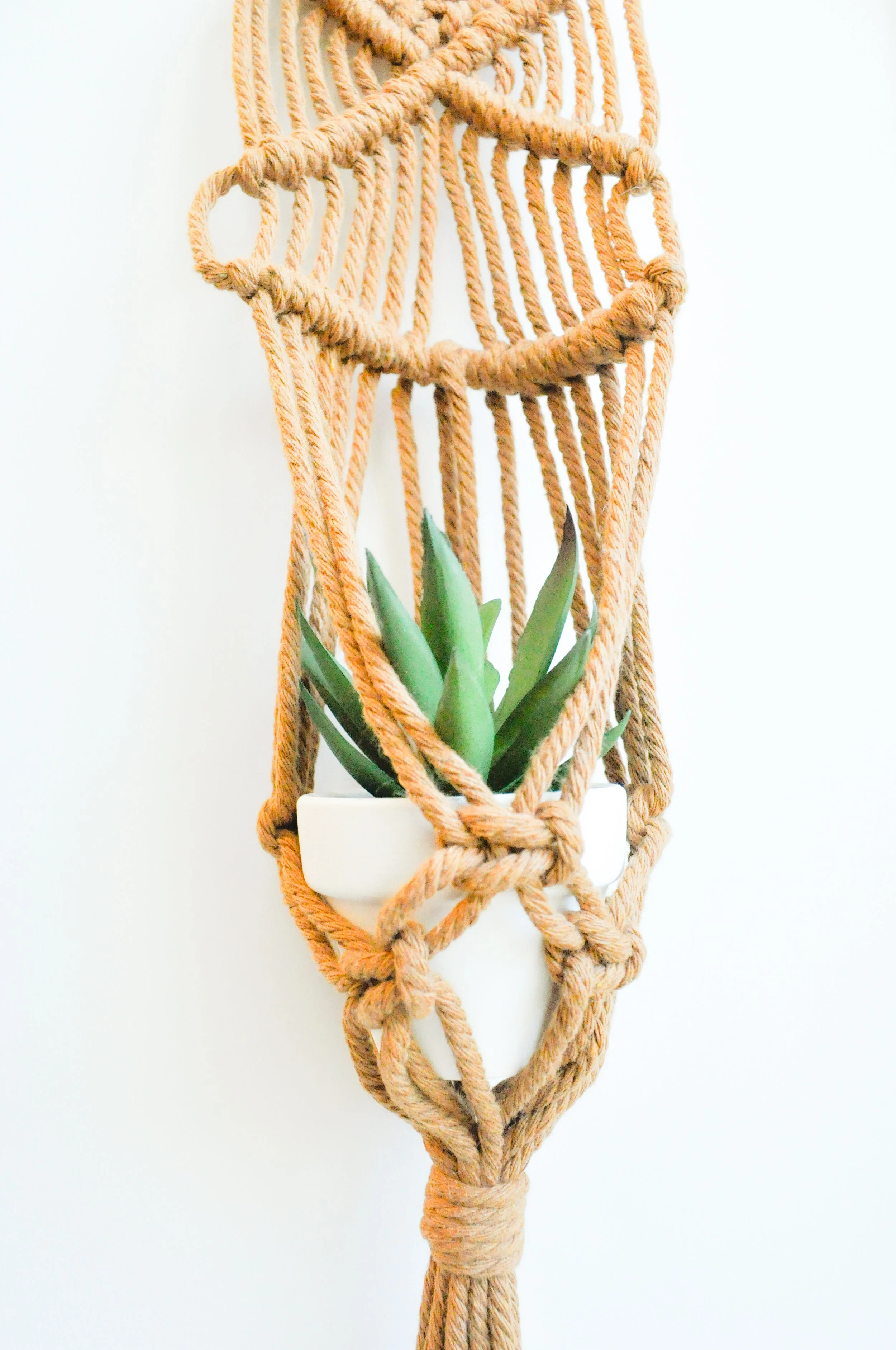 7_Brown_Mini Plant Hanger.jpg