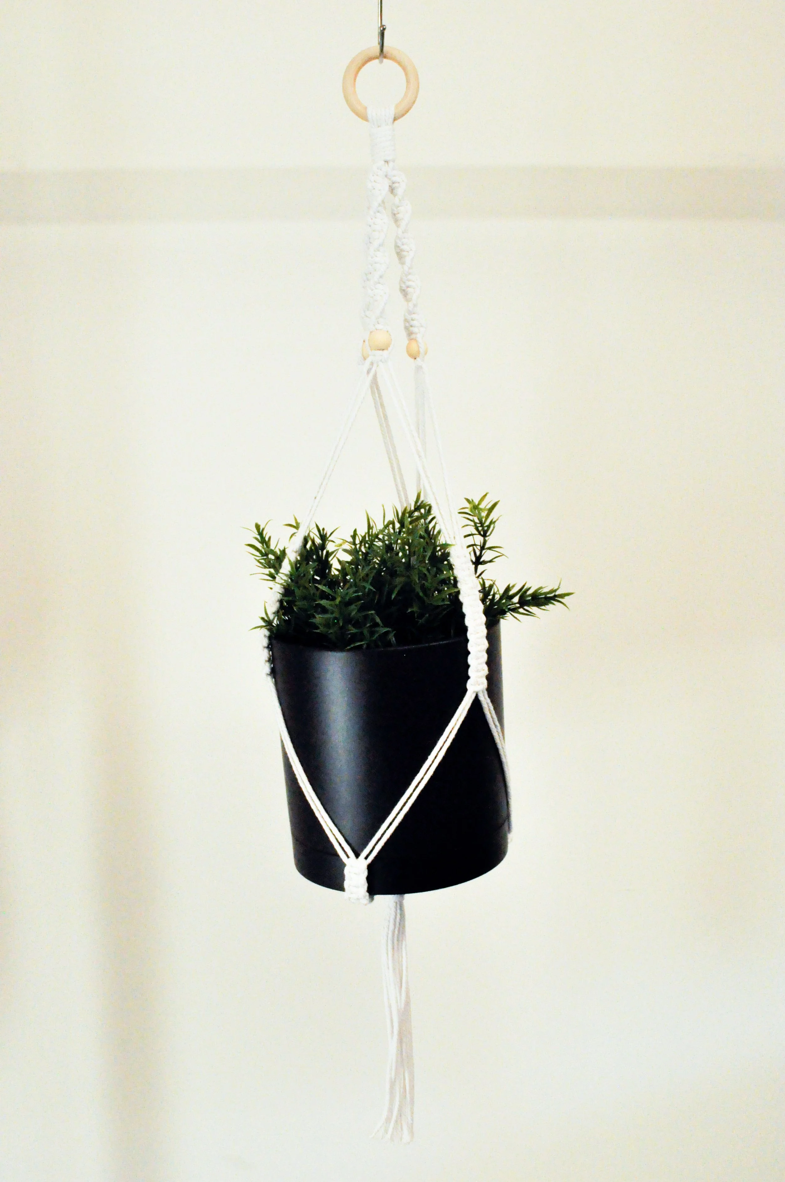 Ver2_White_1_Plant Hangers.jpg