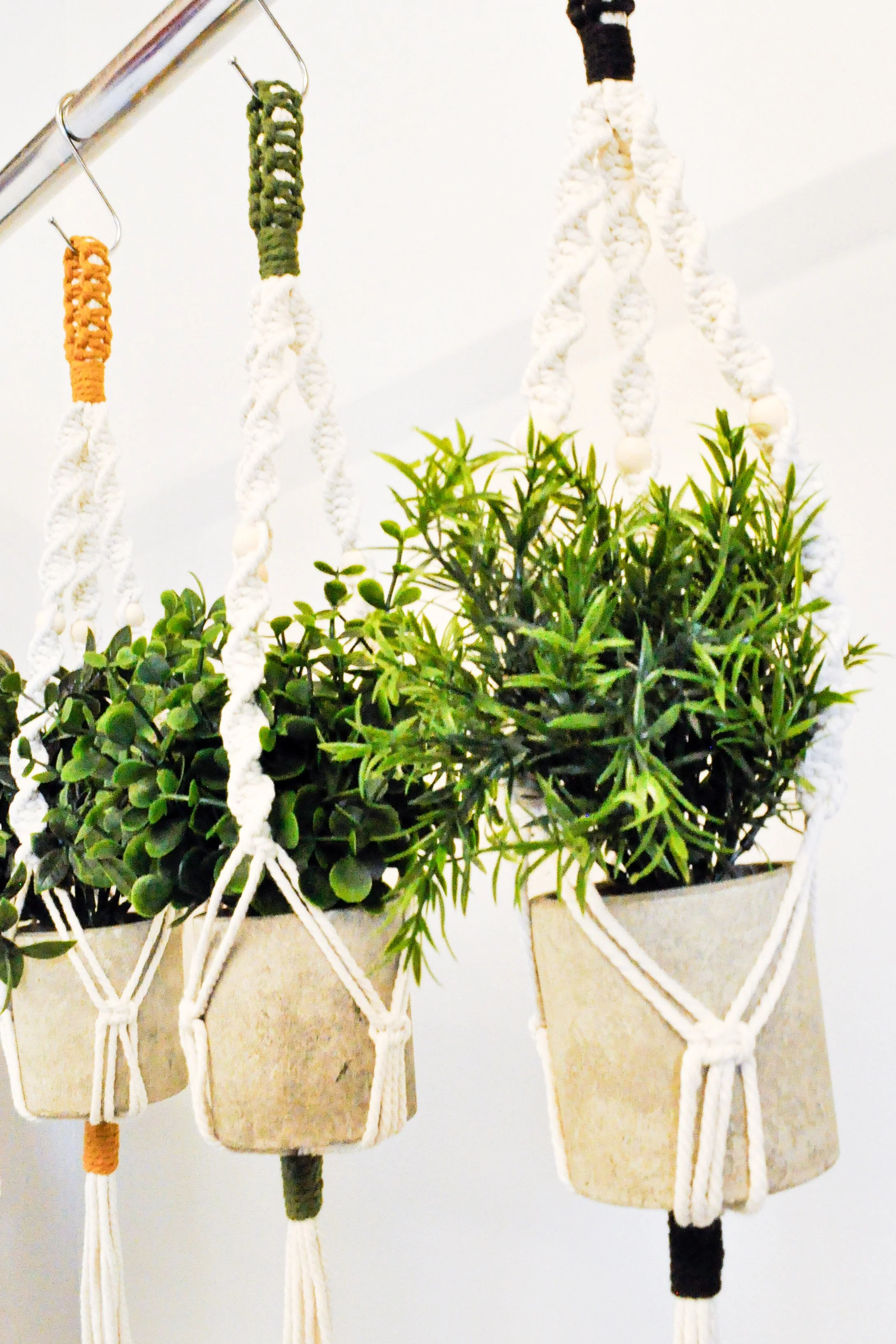 Ver1_Natural_All_7_Plant Hangers.jpg