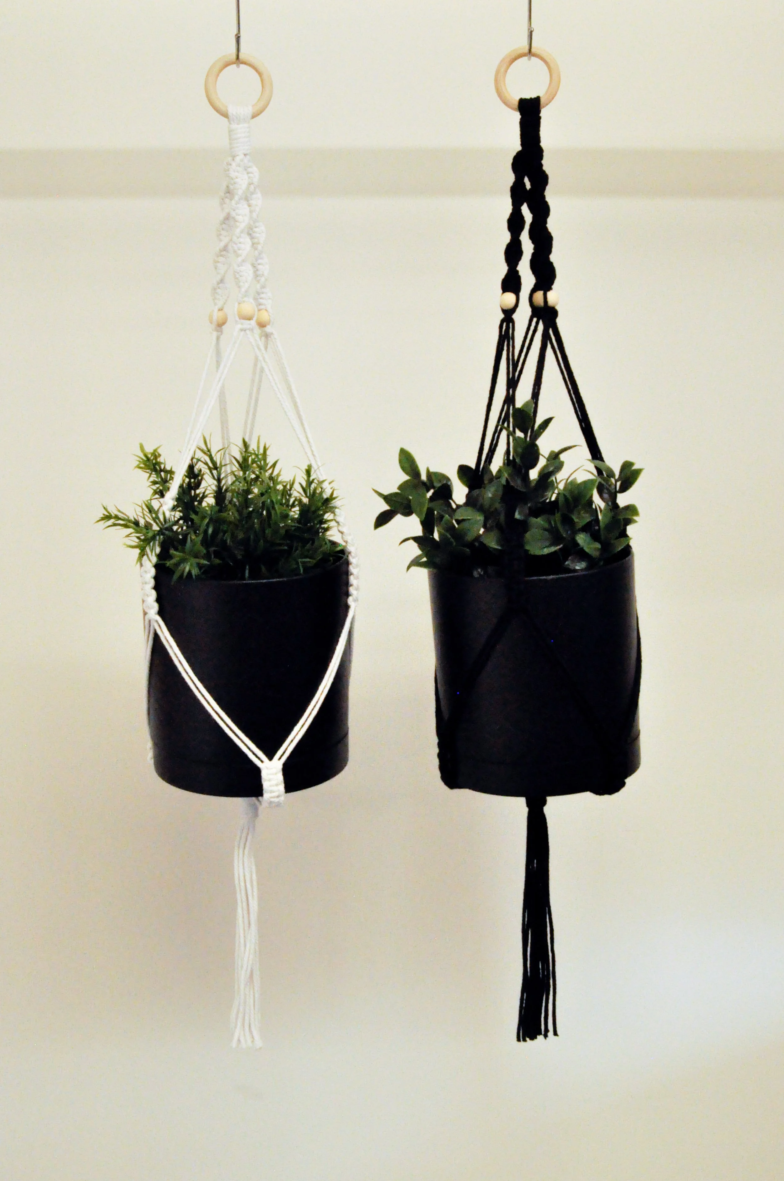 Ver2_All_7_Plant Hangers.jpg