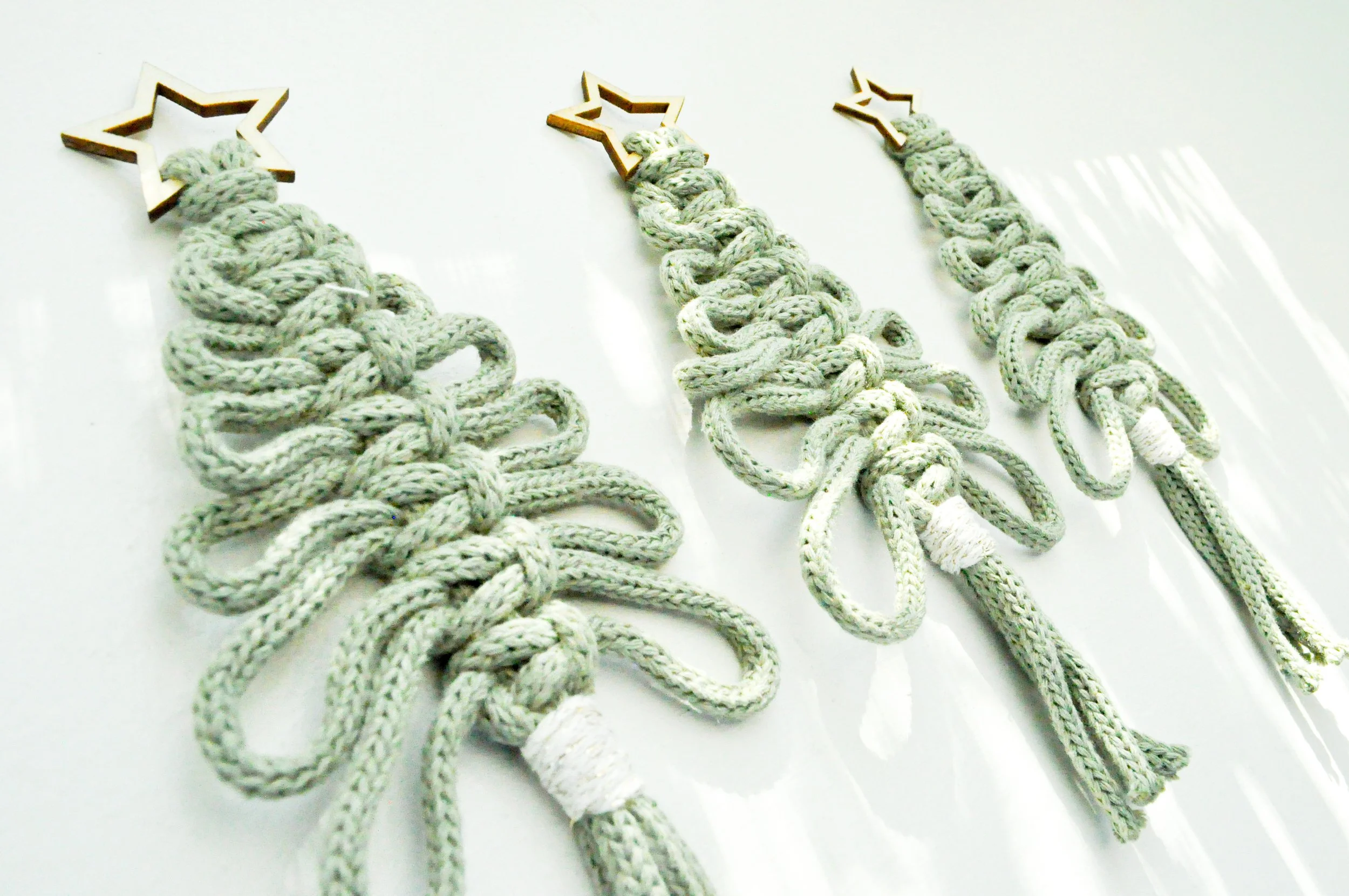 3_Green_Christmas Tree.jpg