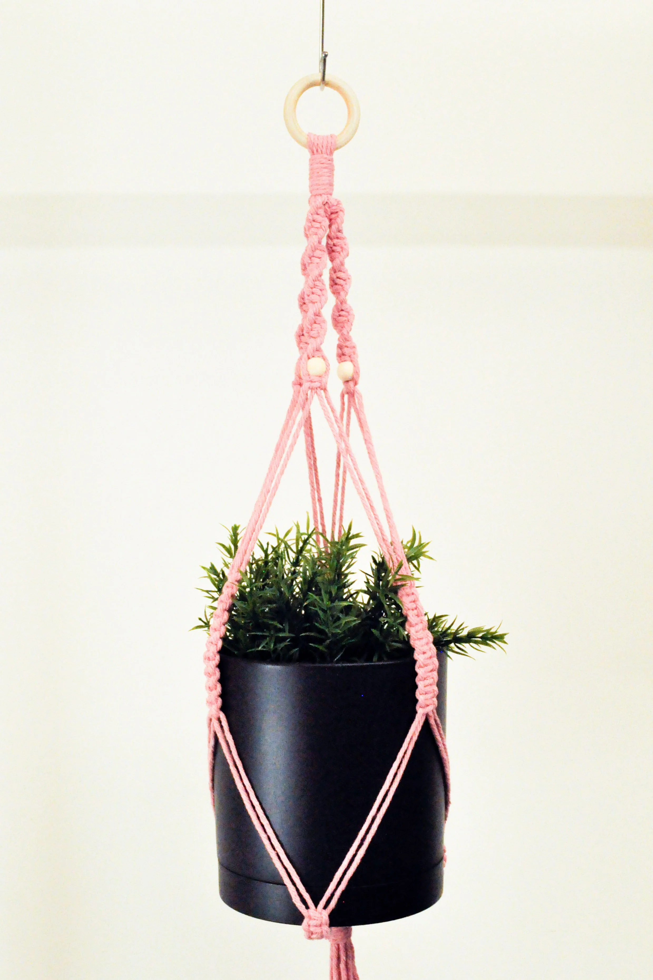 Ver2_Pink_1_Plant Hangers.jpg