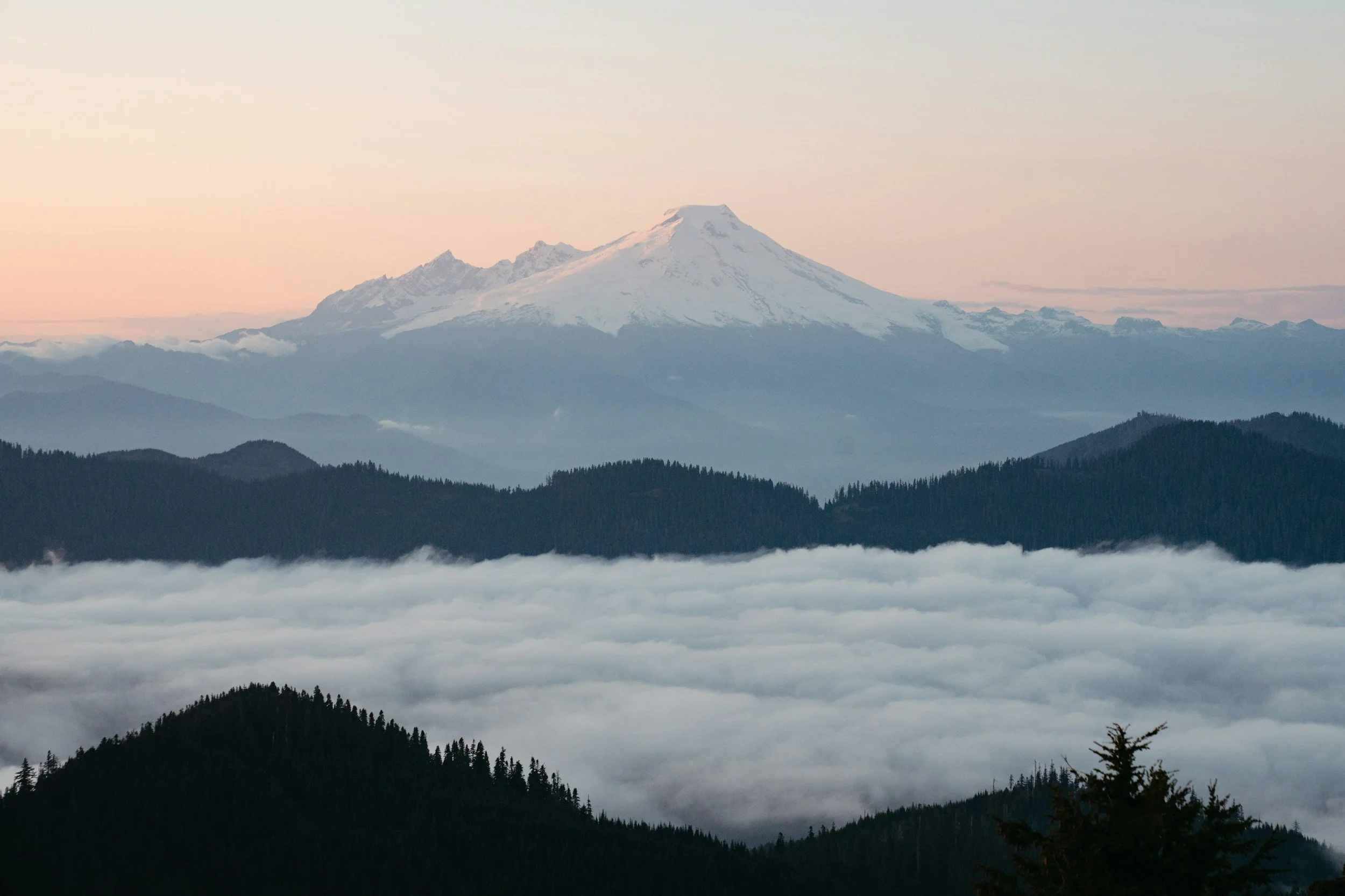 Snow-capped mountain in the distance above layers of dark pine-covered hills and a blanket of fog.