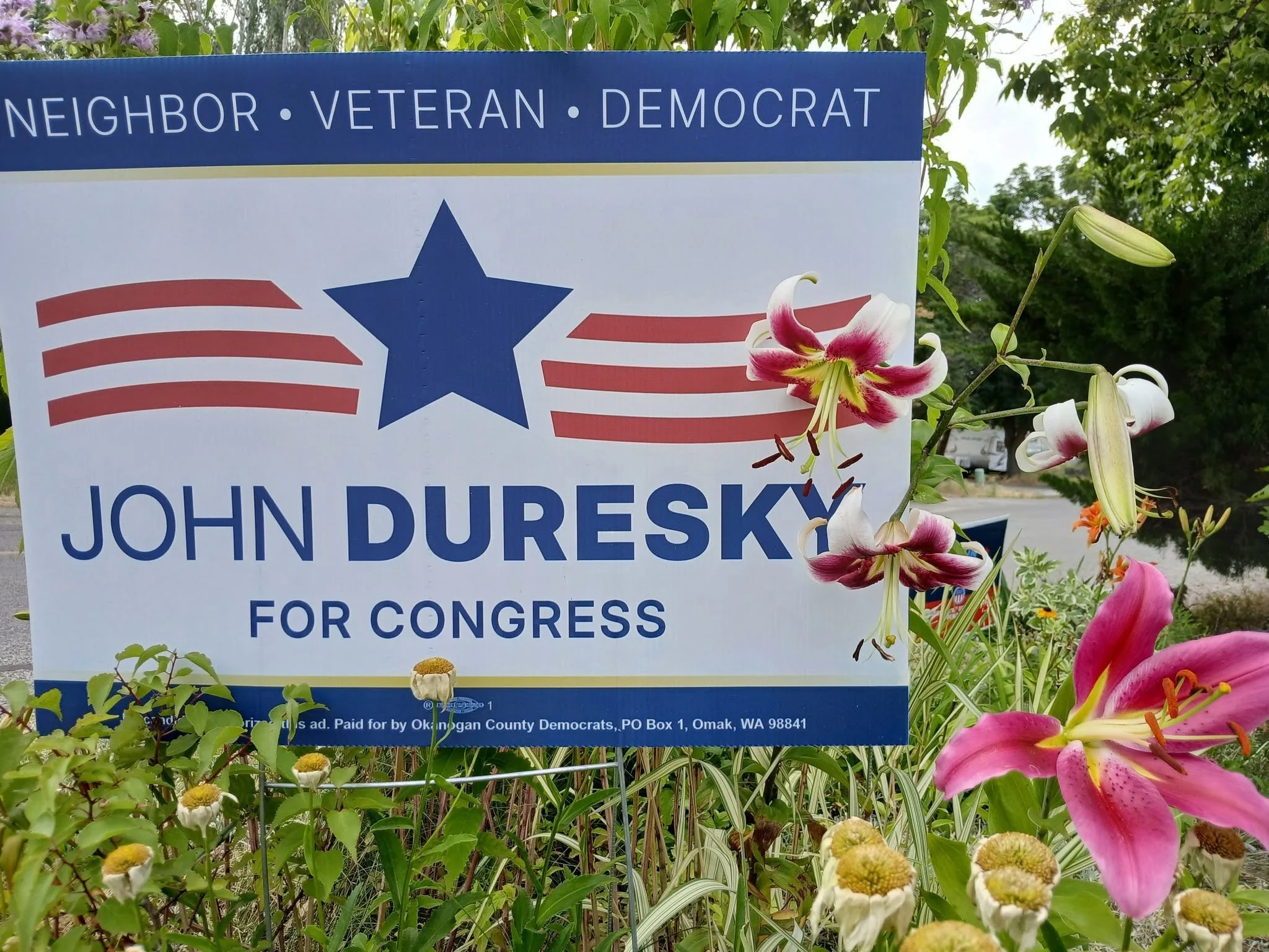 A political campaign sign with the words 'Neighbor - Veteran - Democrat' and 'John Duresky for Congress' among pink lilies and white daisies, with green trees and a cloudy sky in the background.