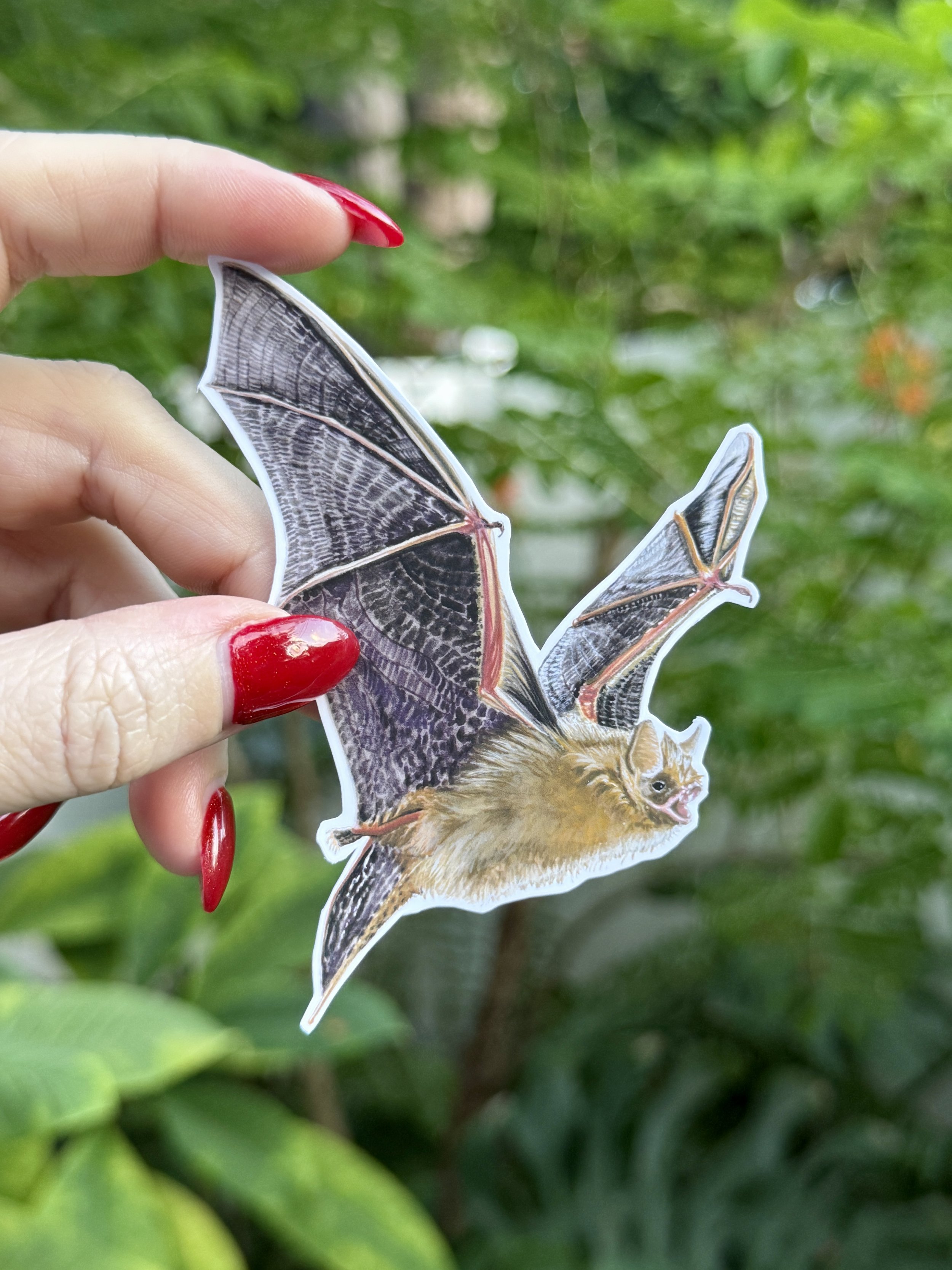 Tri Colored Bat Sticker