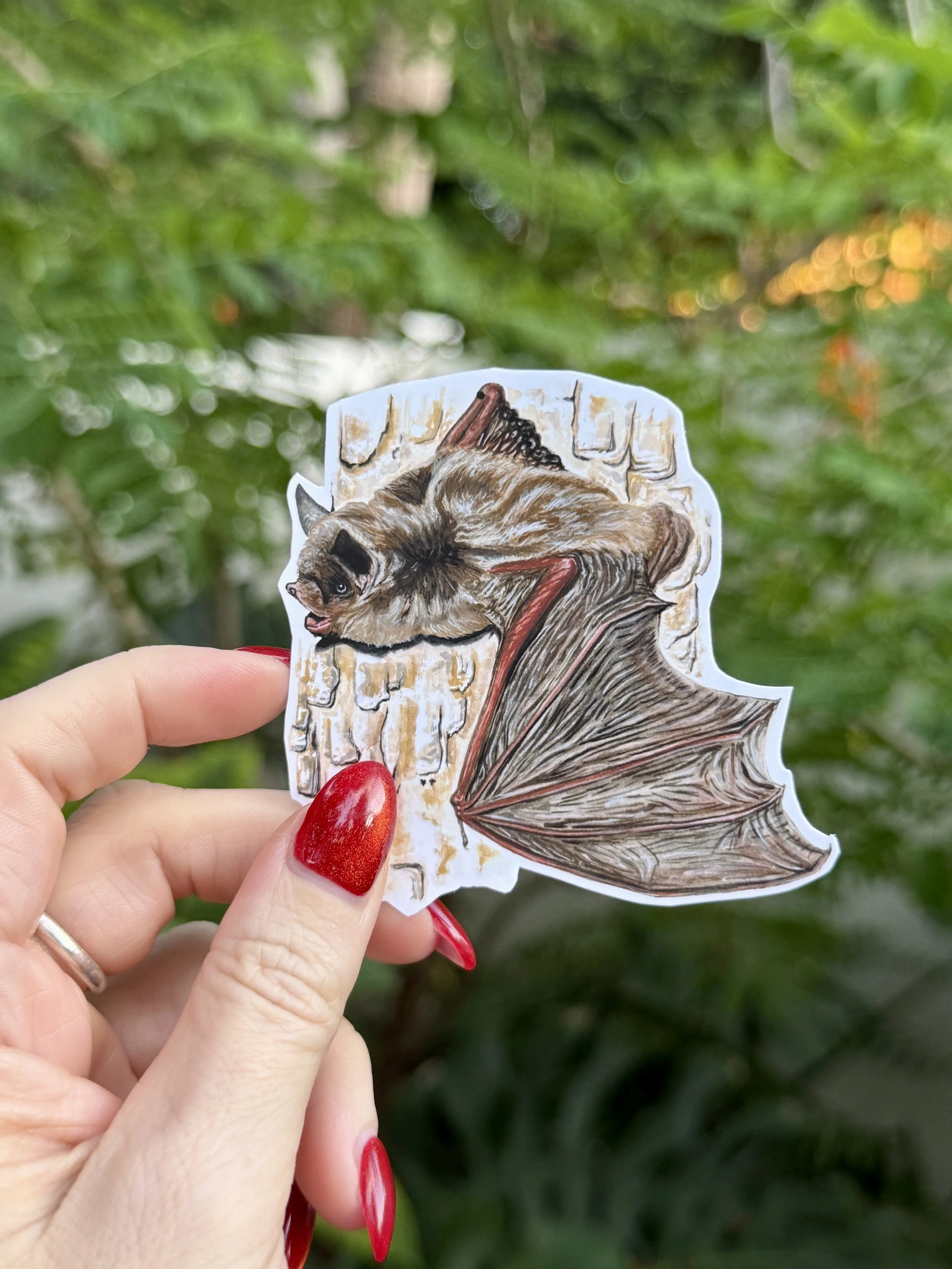 Gray Bat Sticker